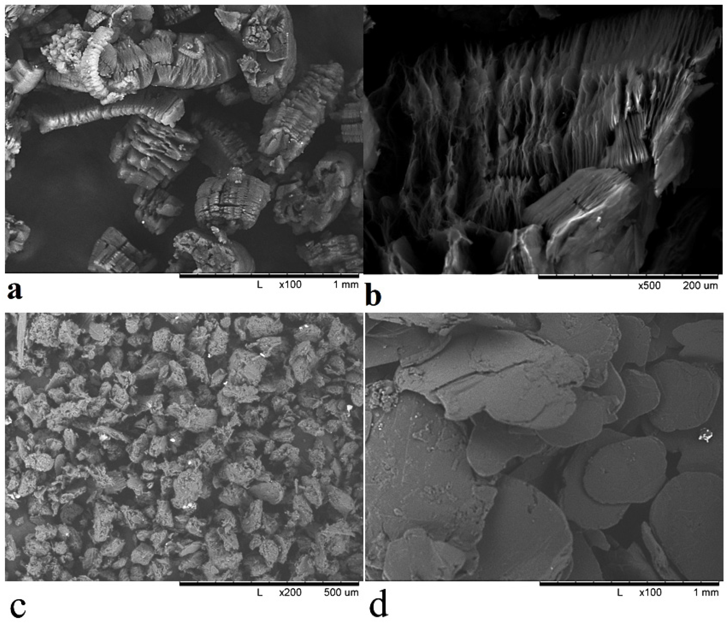 Polymers 14 00399 g001