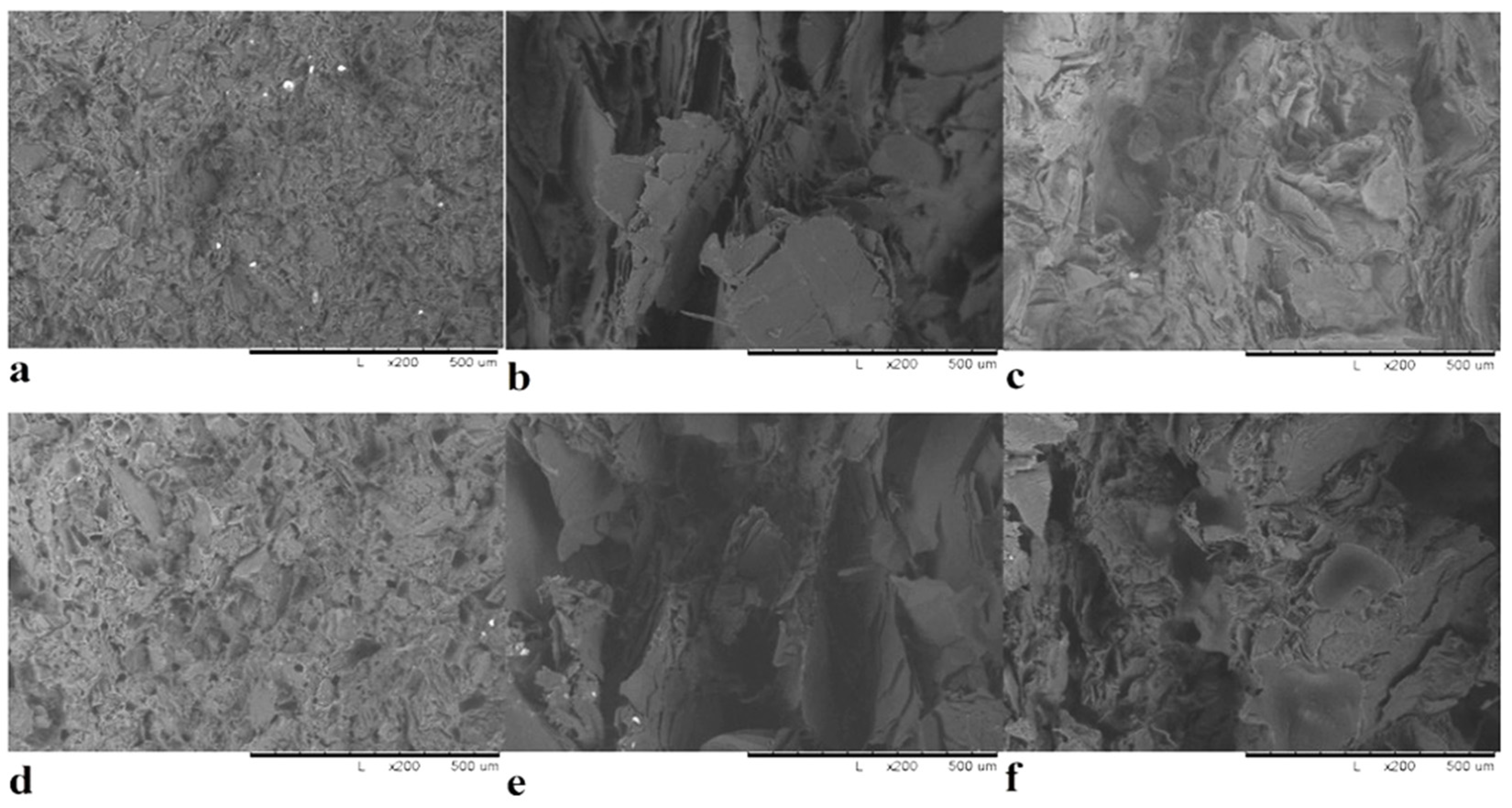 Polymers 14 00399 g005