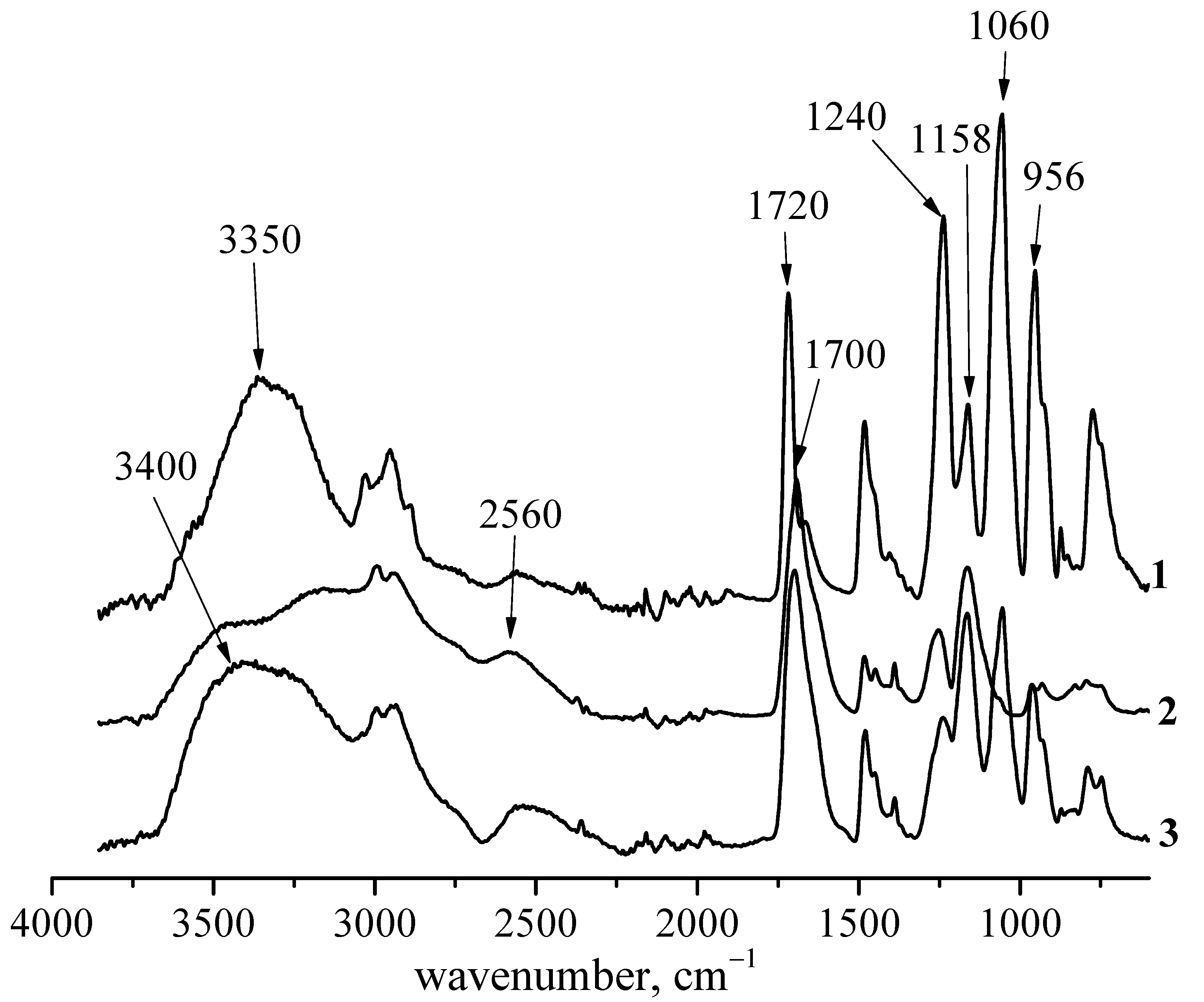 Polymers 14 00407 g004