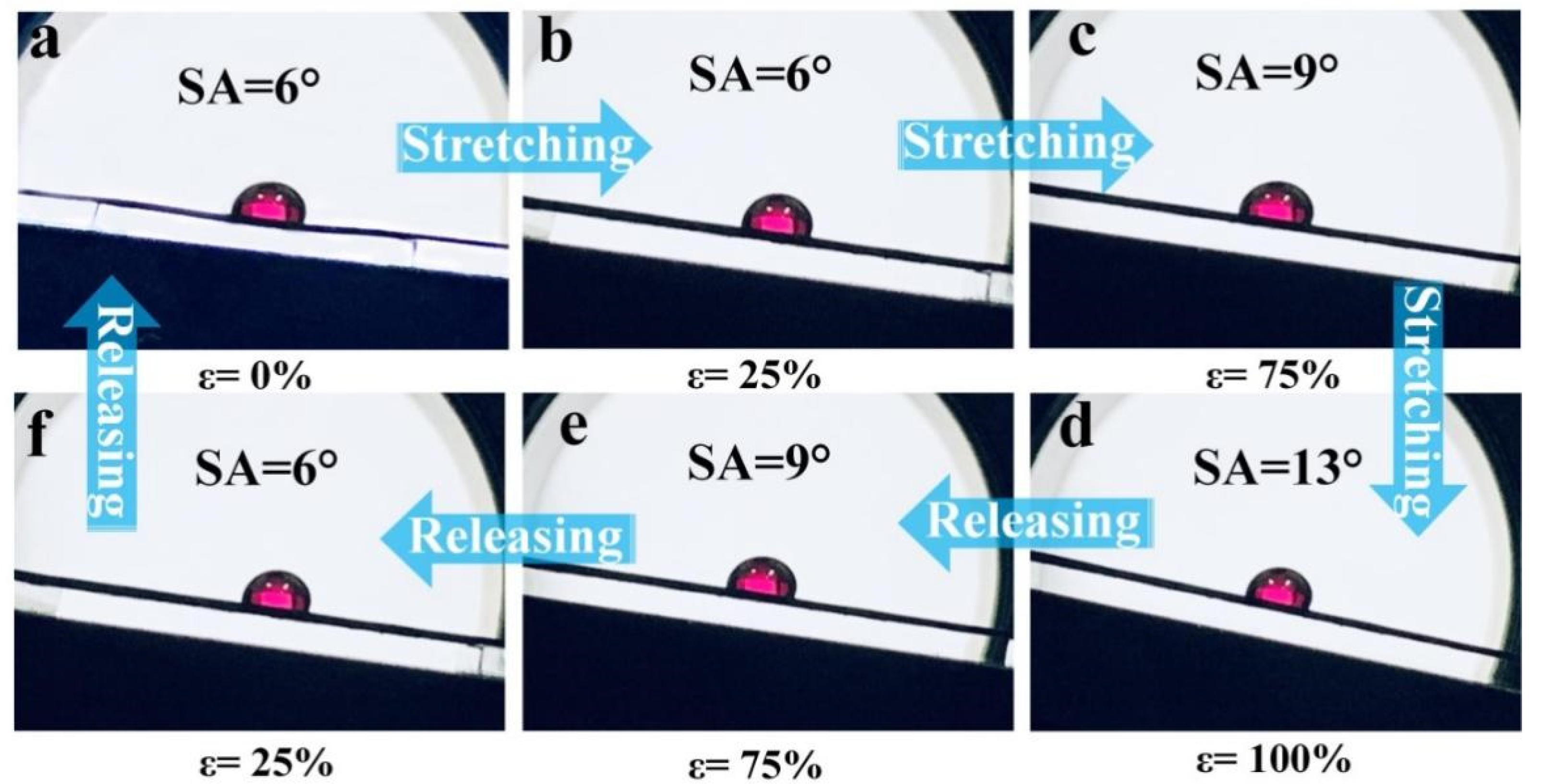 Polymers 14 00409 g003