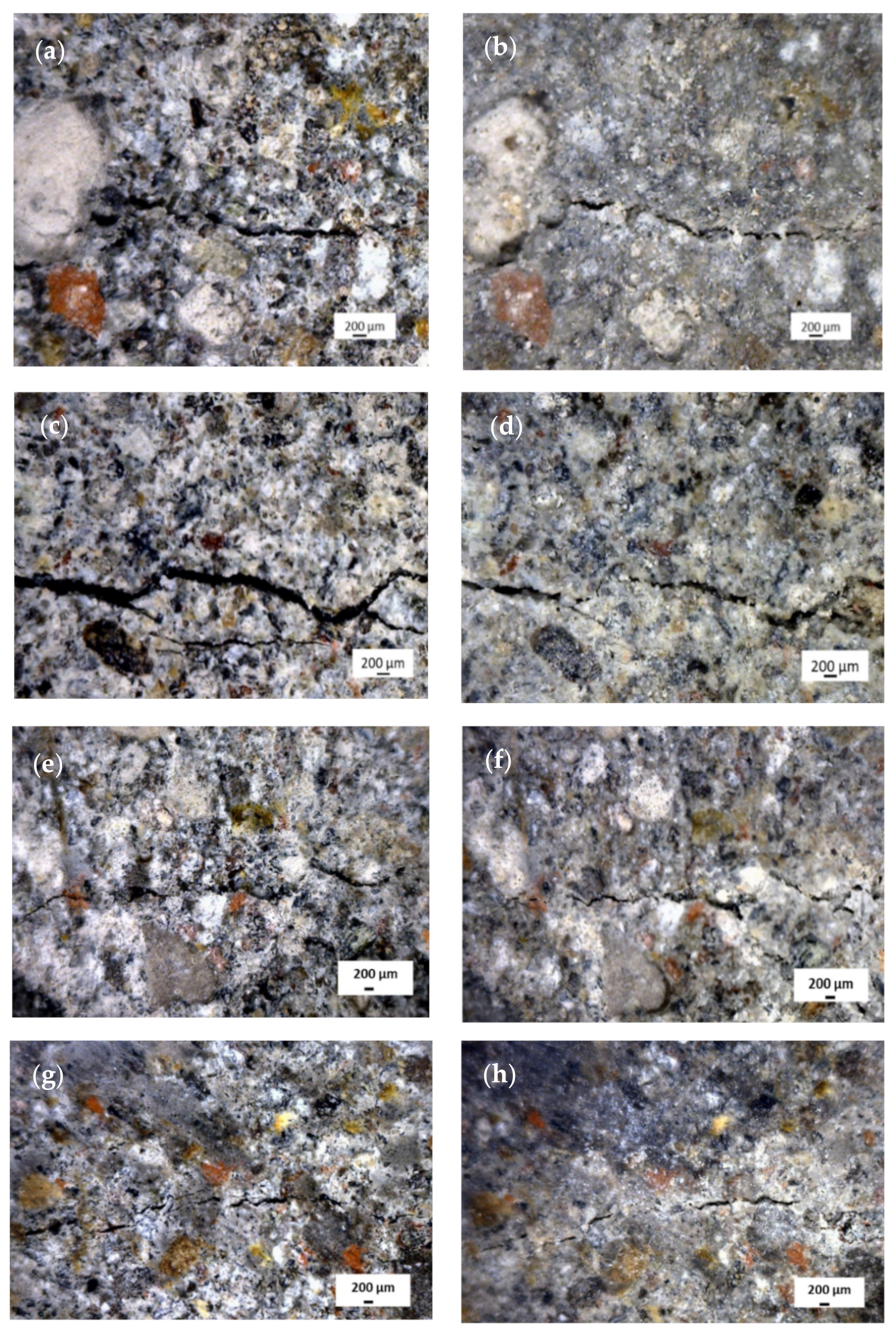 Polymers 14 00410 g013