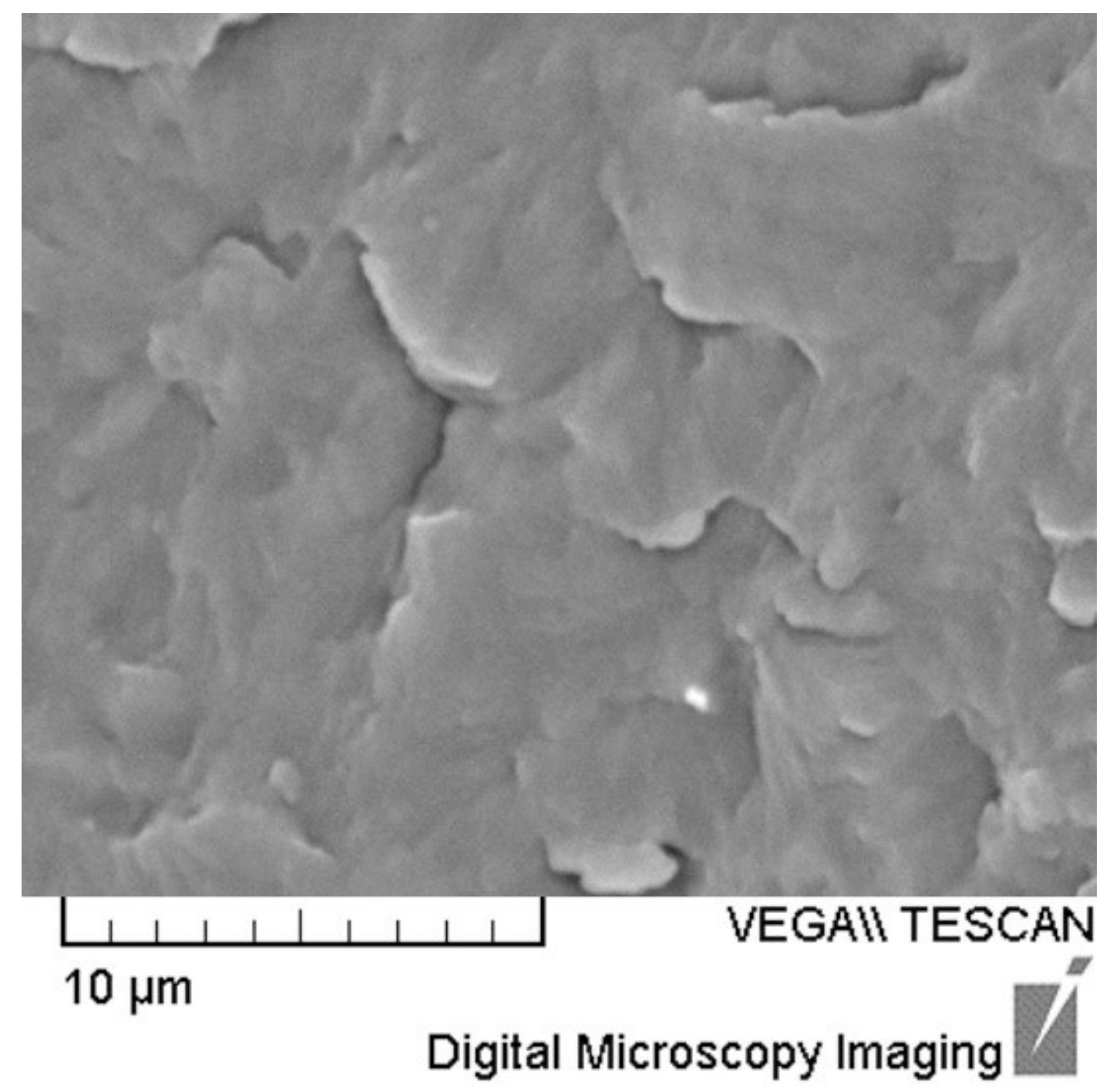 Polymers 14 00434 g004