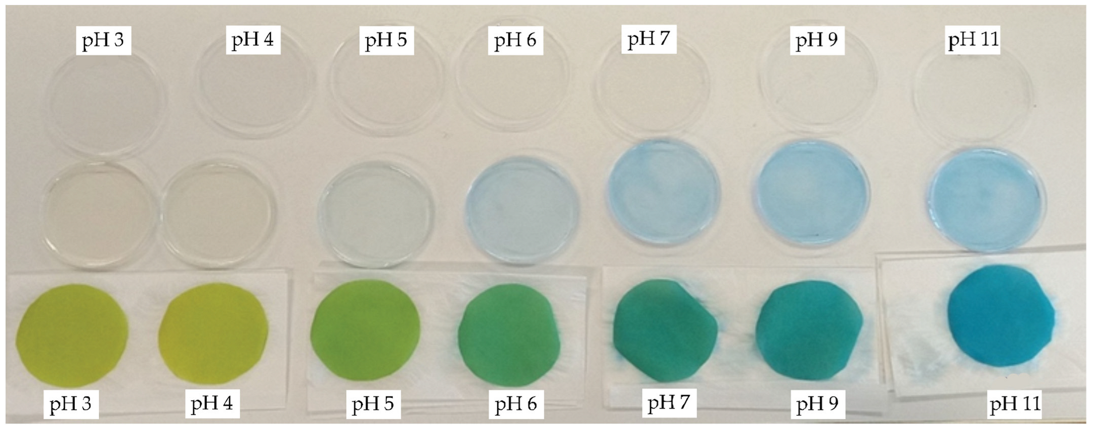 Polymers 14 00447 g004