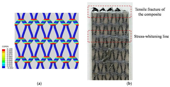 2 Different derivatives of weft and warp knitted mesh fabrics