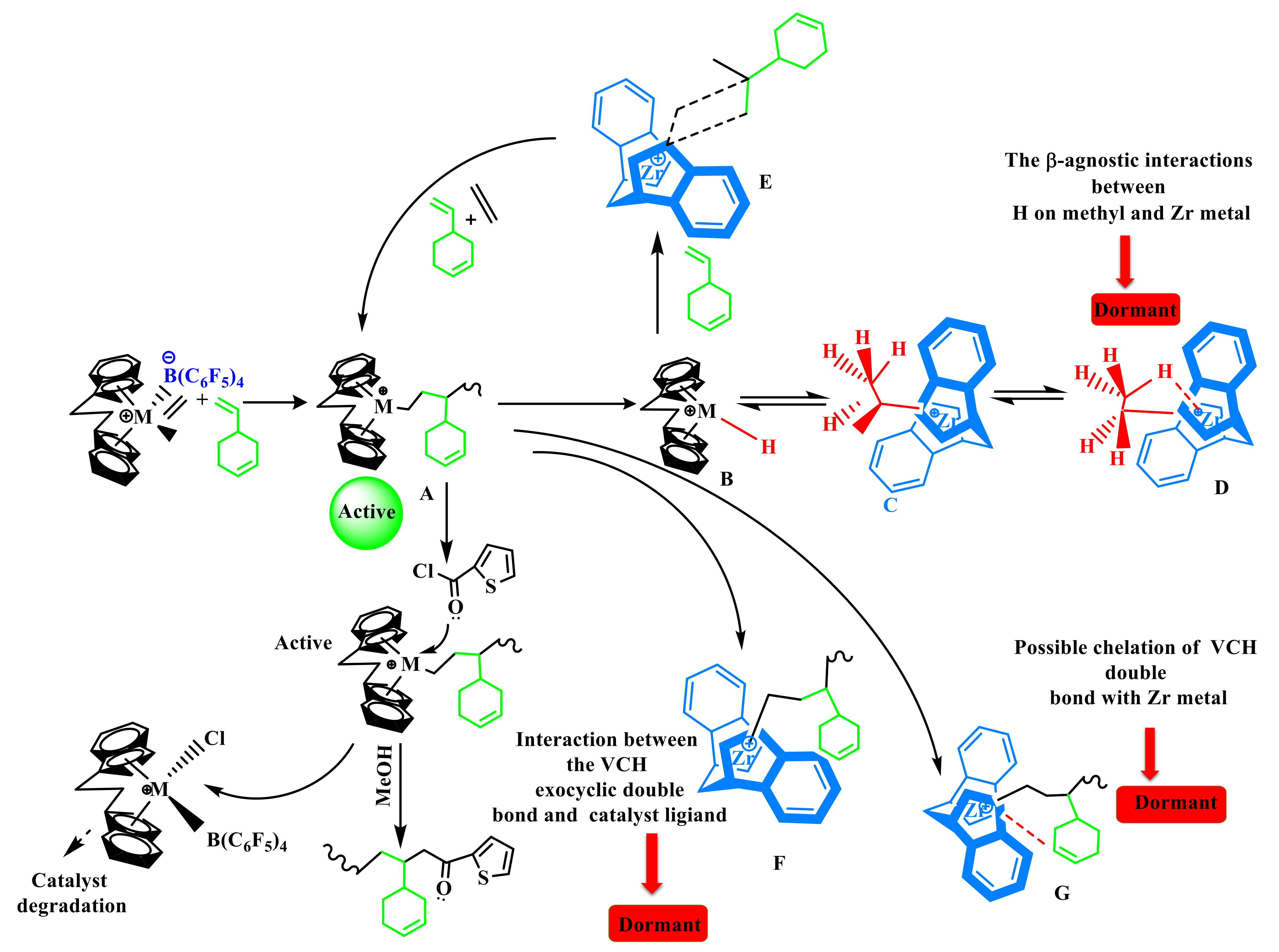 Polymers 14 00459 sch002