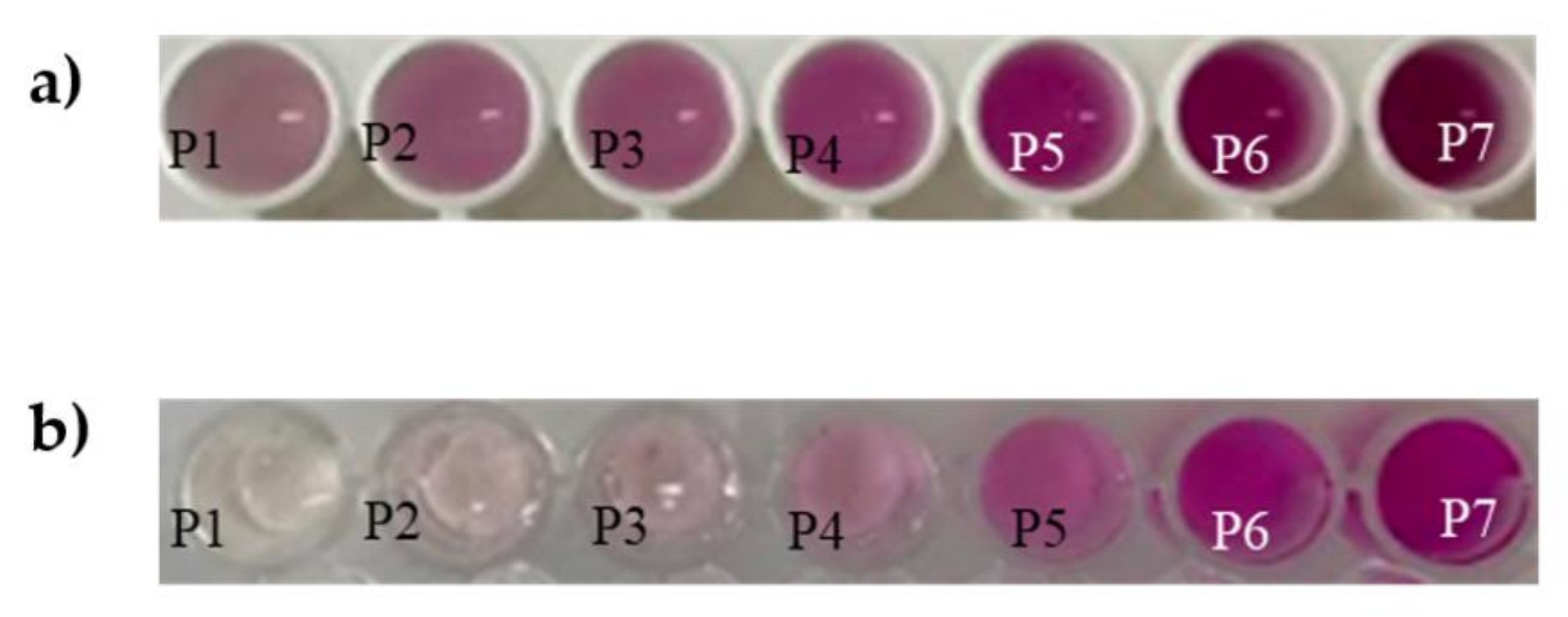 Polymers 14 00464 g006