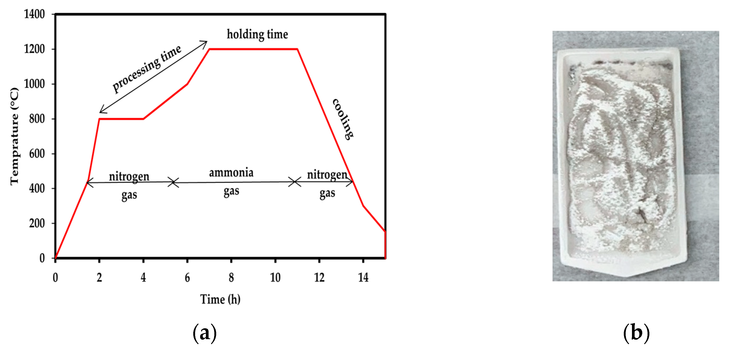 Polymers 14 00486 g001