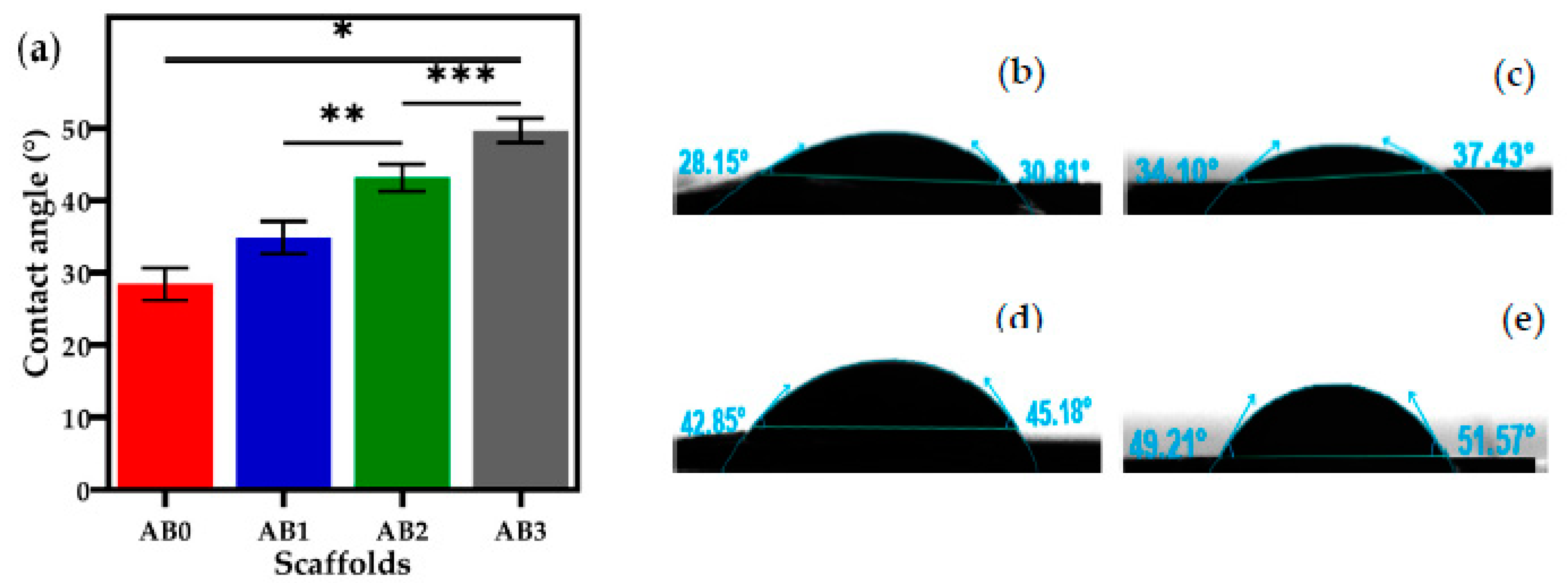 Polymers 14 00486 g008