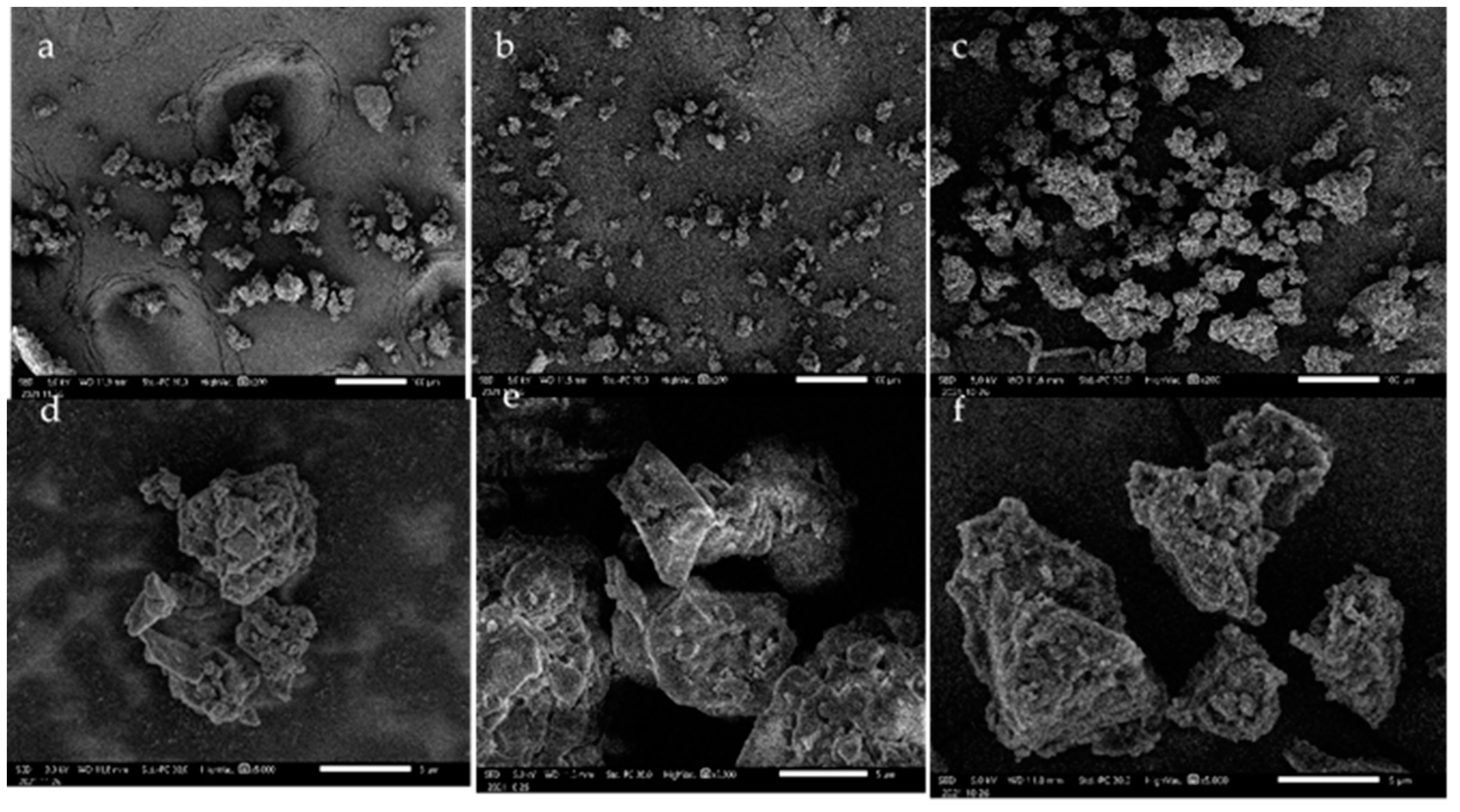 Polymers 14 00491 g002