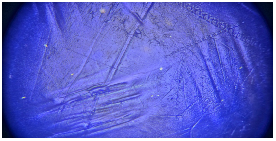 Polymers 14 00509 g014