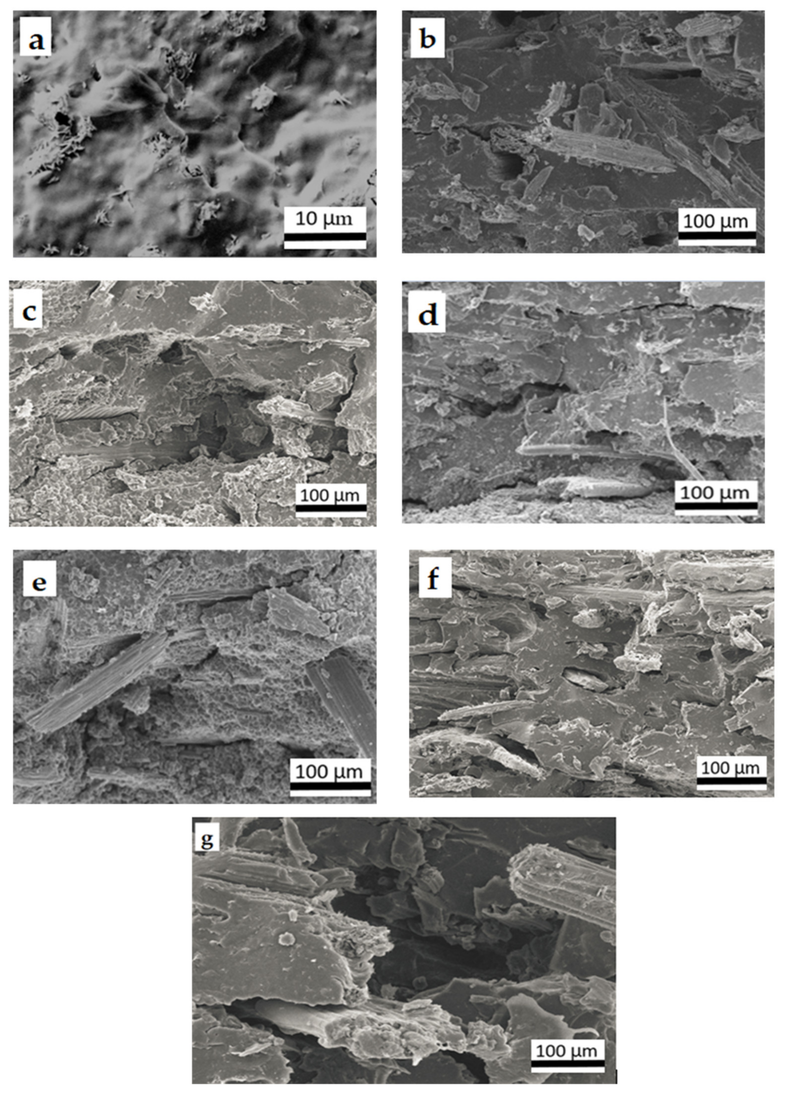 Polymers 14 00514 g003
