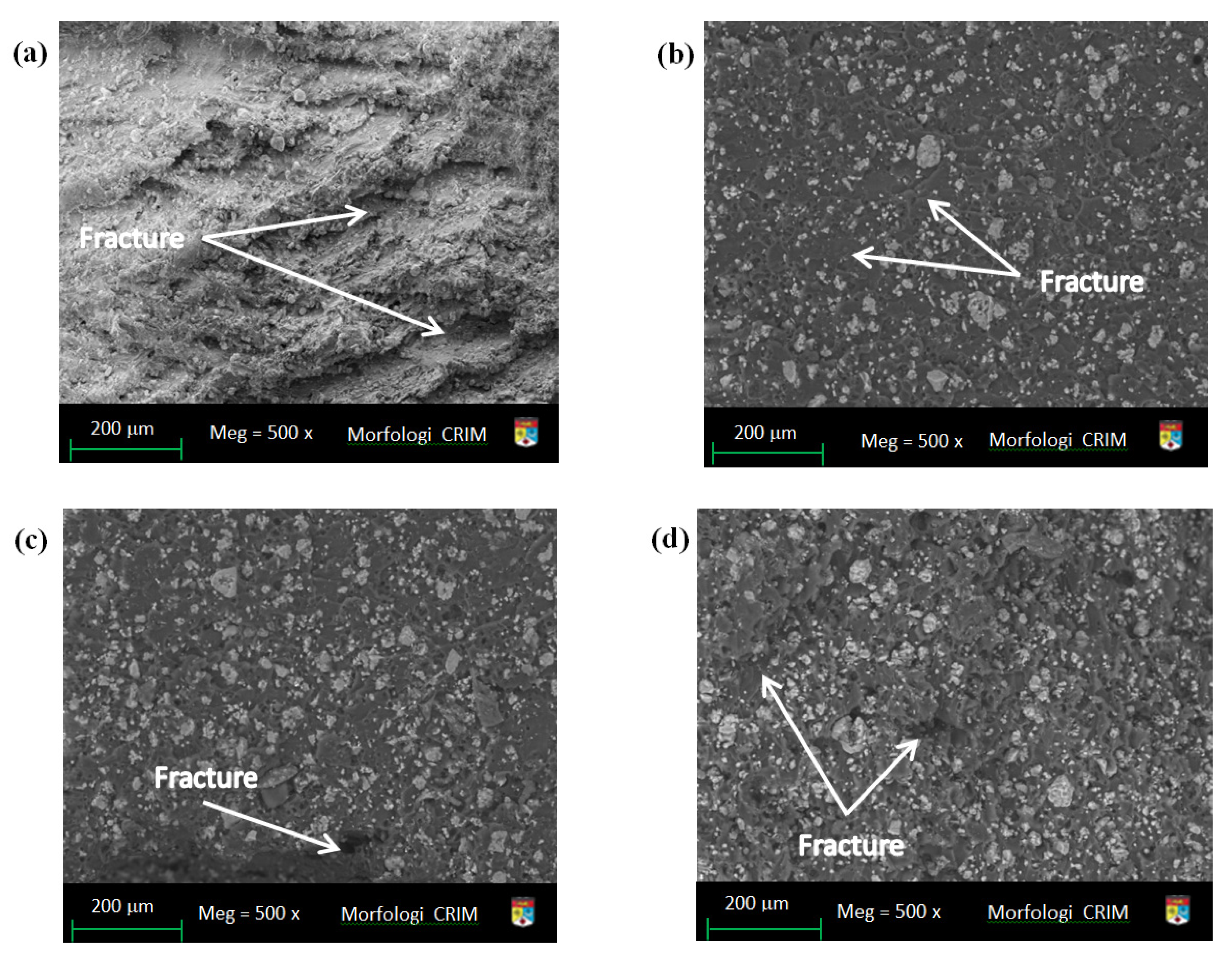 Polymers 14 00526 g011