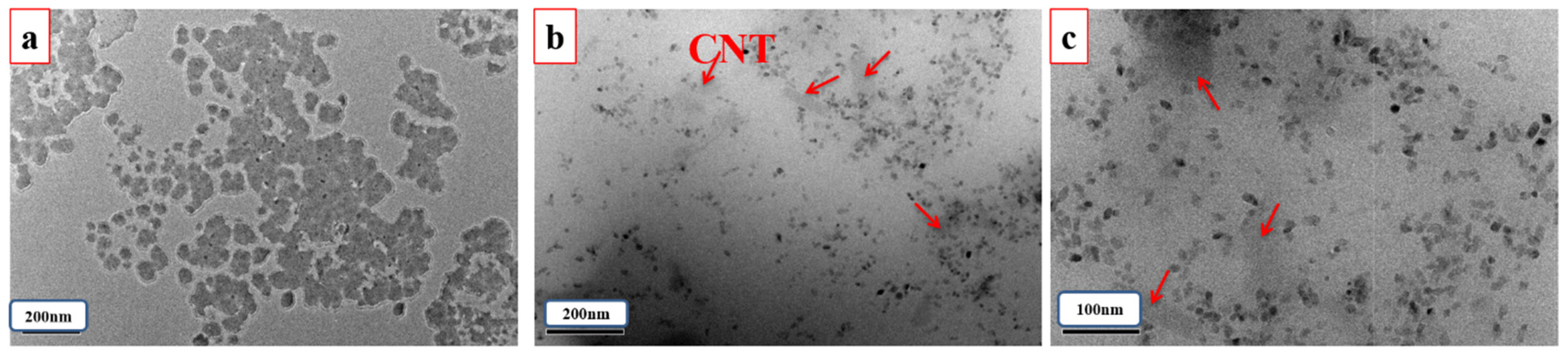 Polymers 14 00565 g004