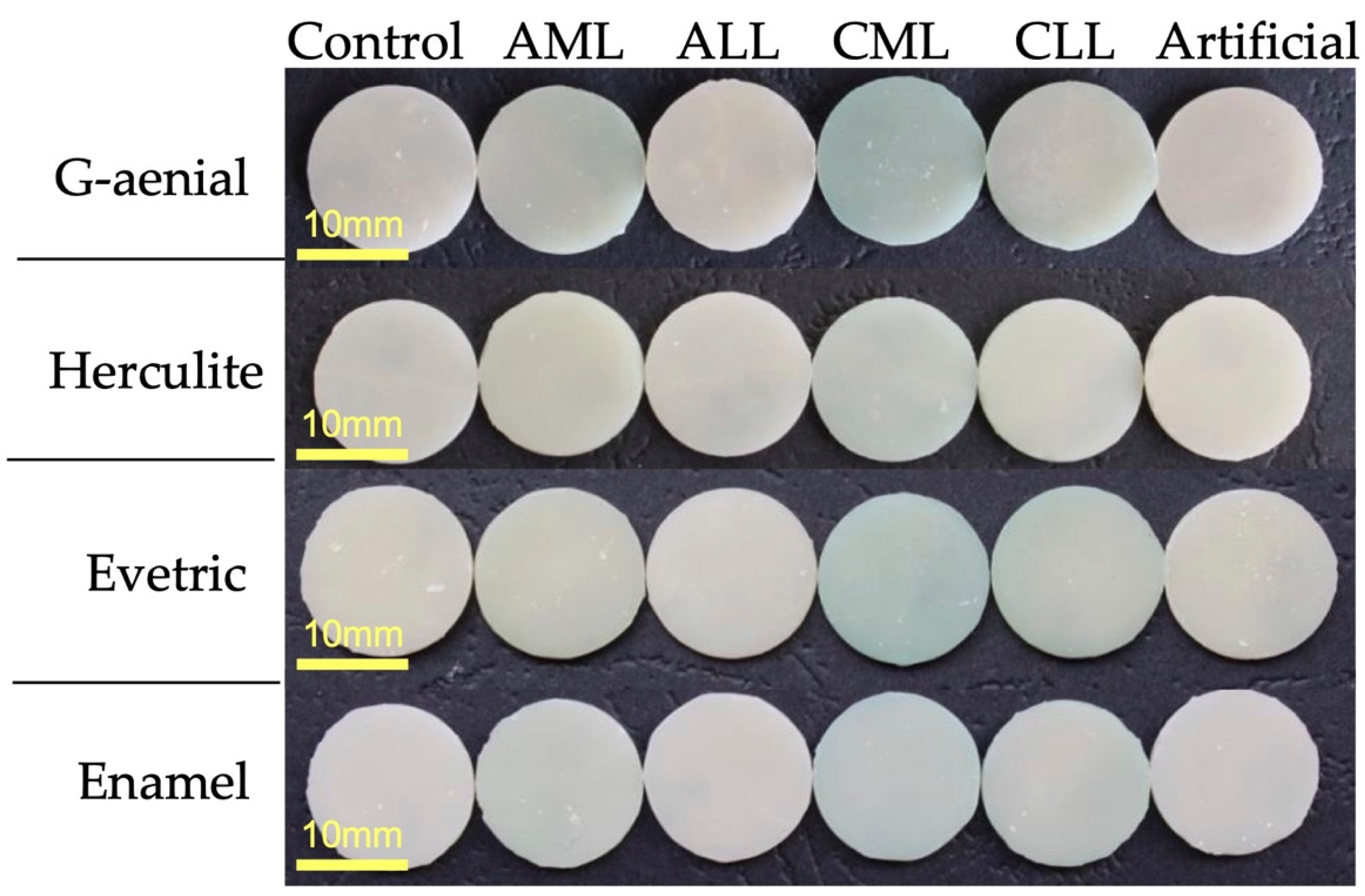 Polymers 14 00569 g004