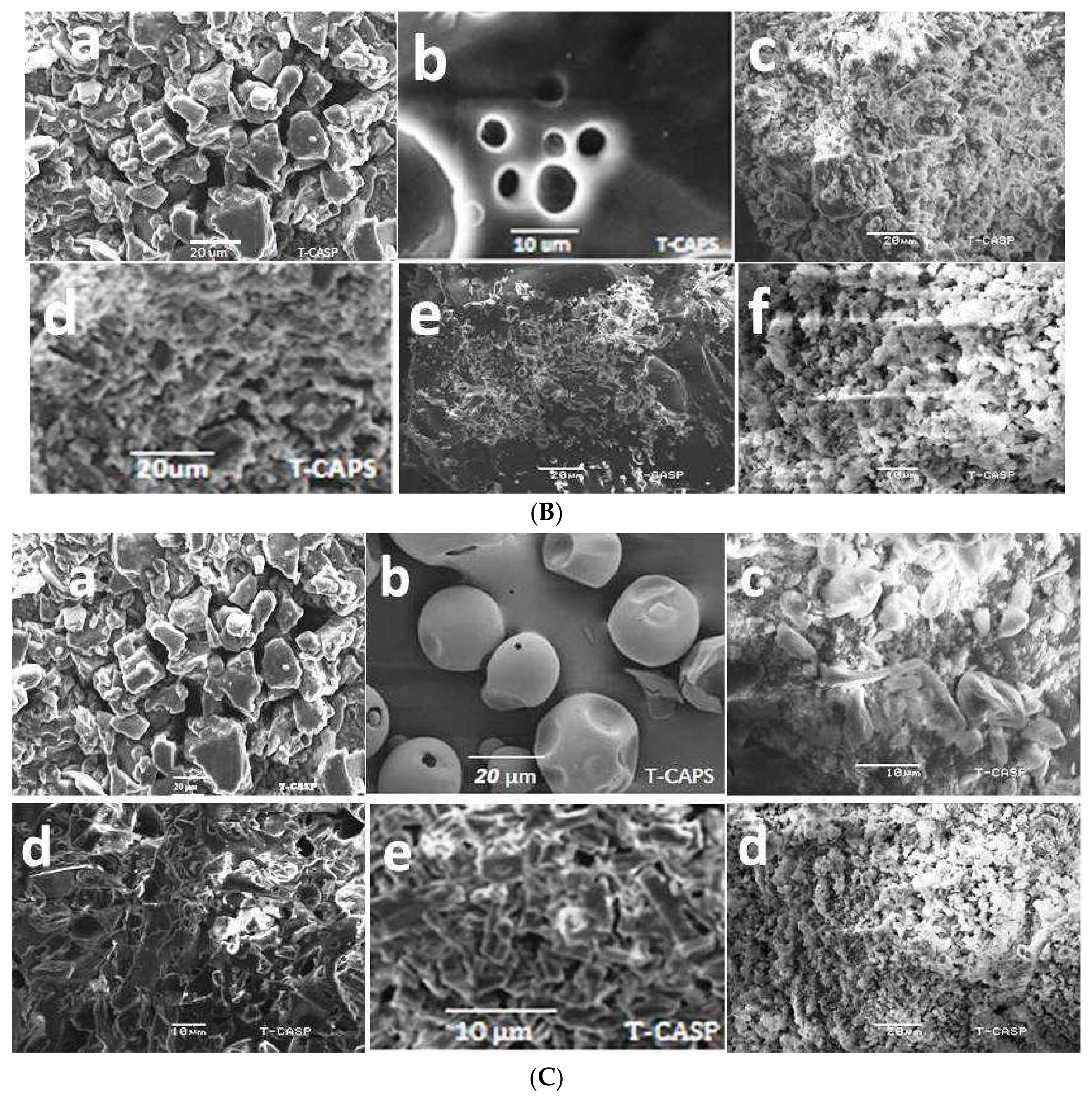 Polymers 14 00579 g004b