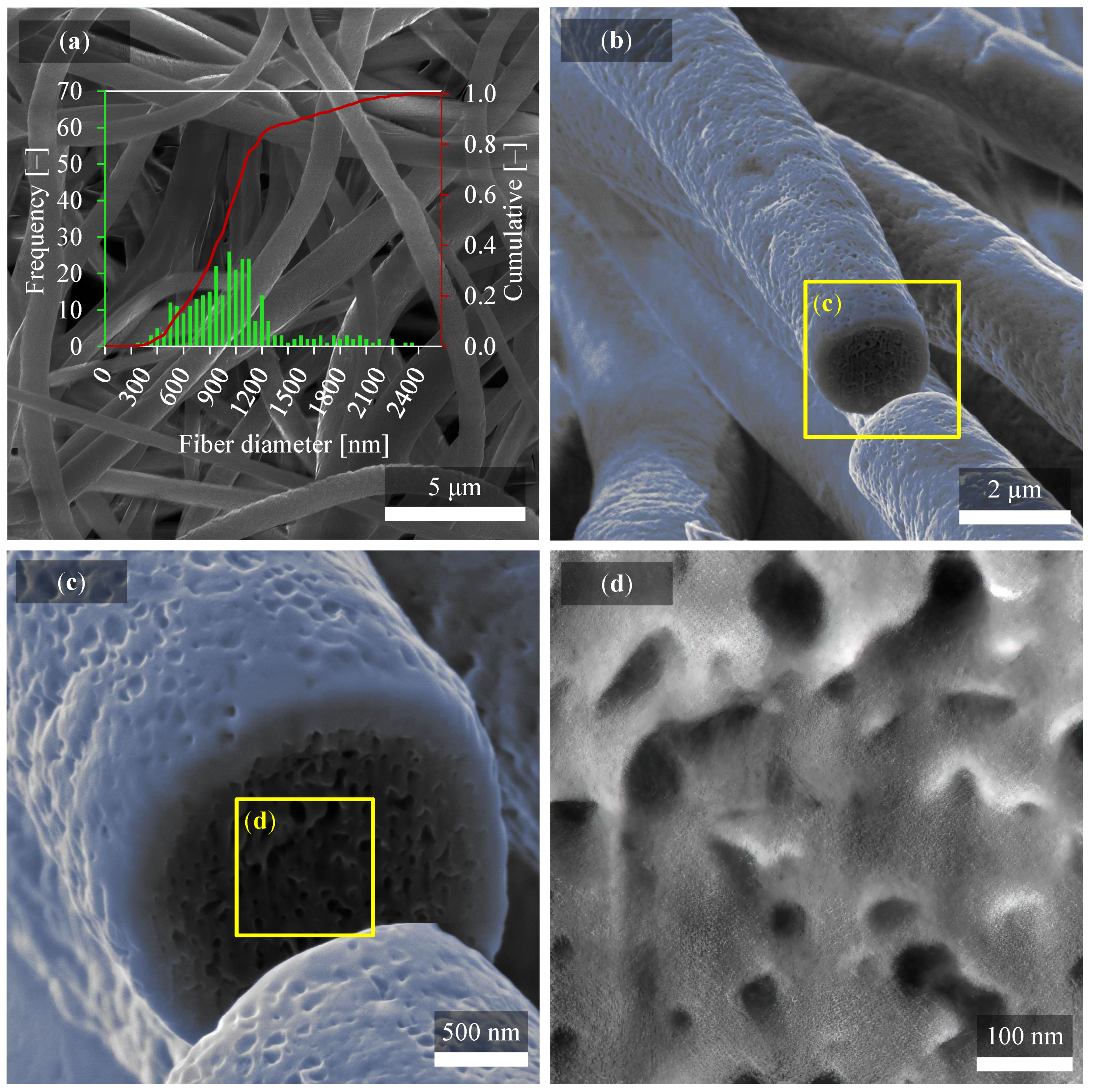 Polymers 14 00593 g002