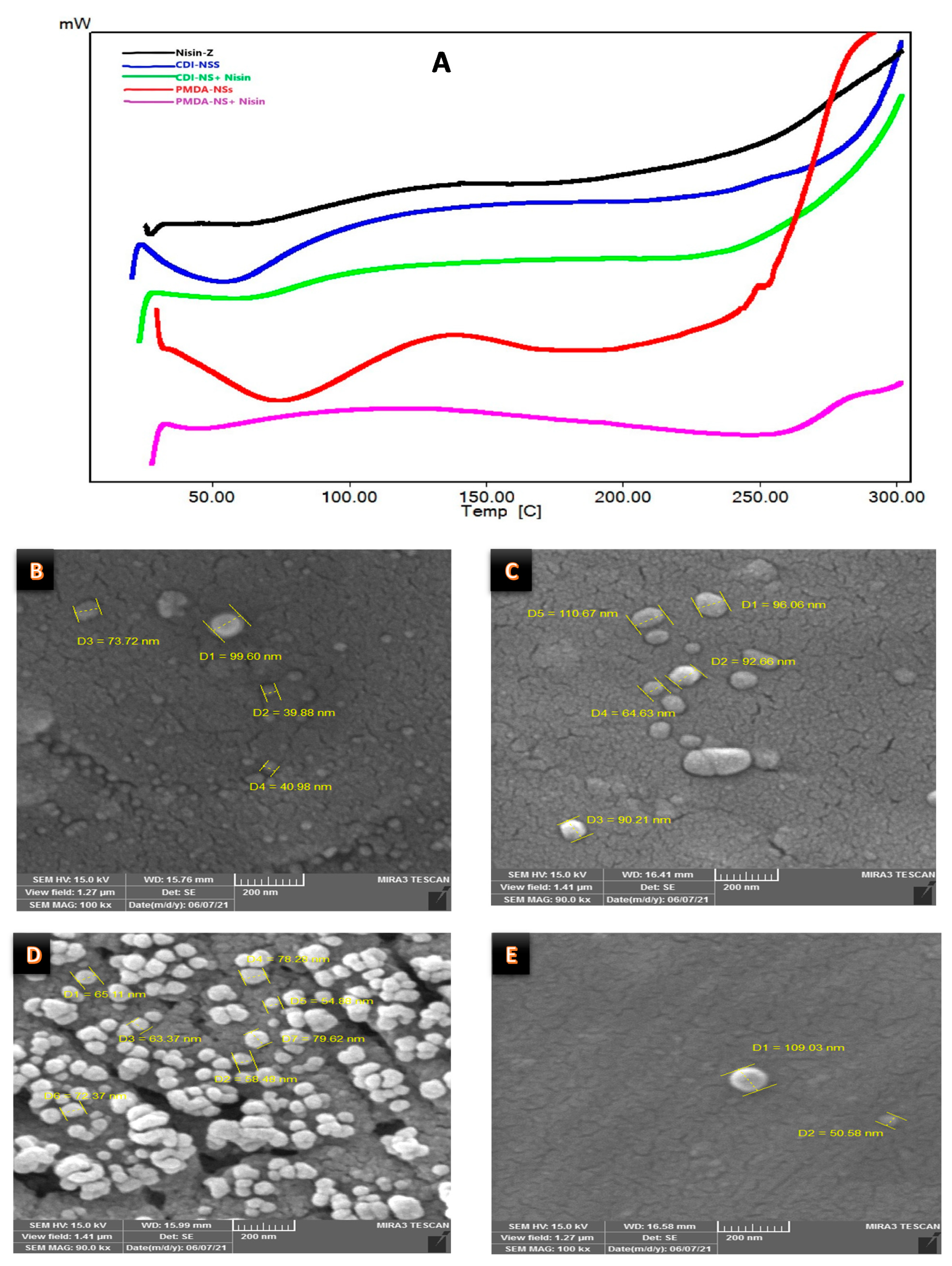 Polymers 14 00594 g001