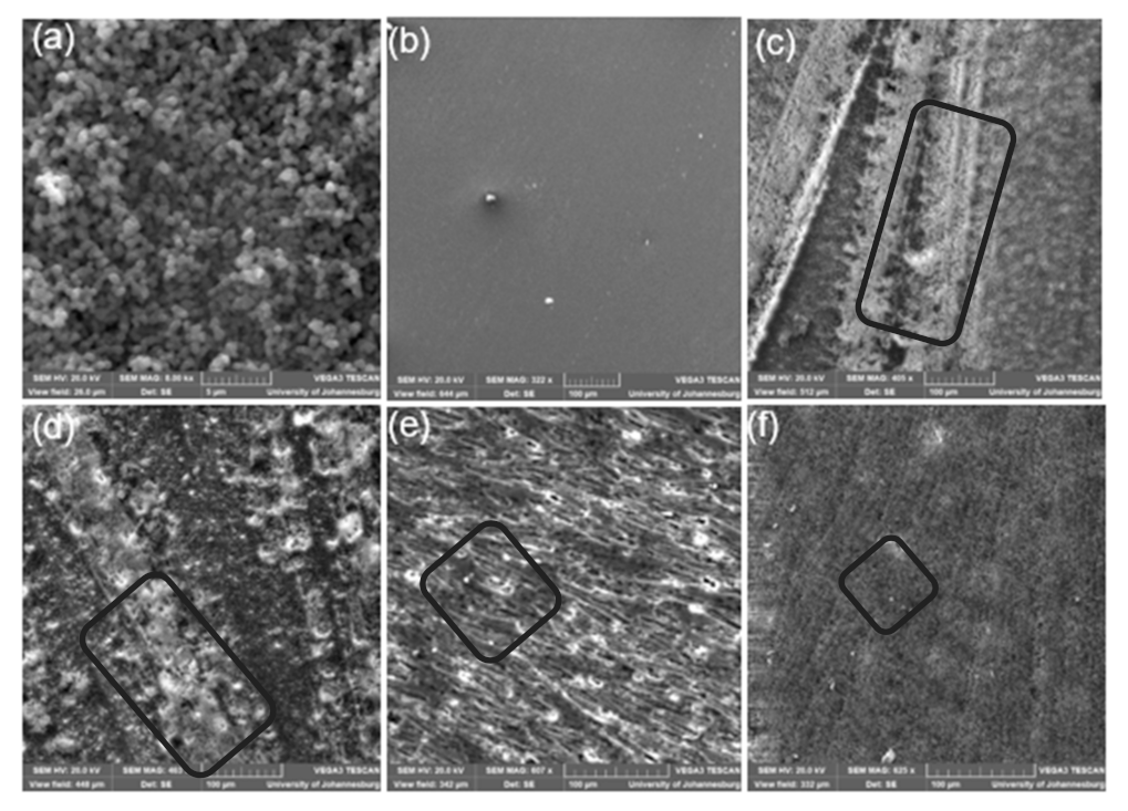 Polymers 14 00595 g007