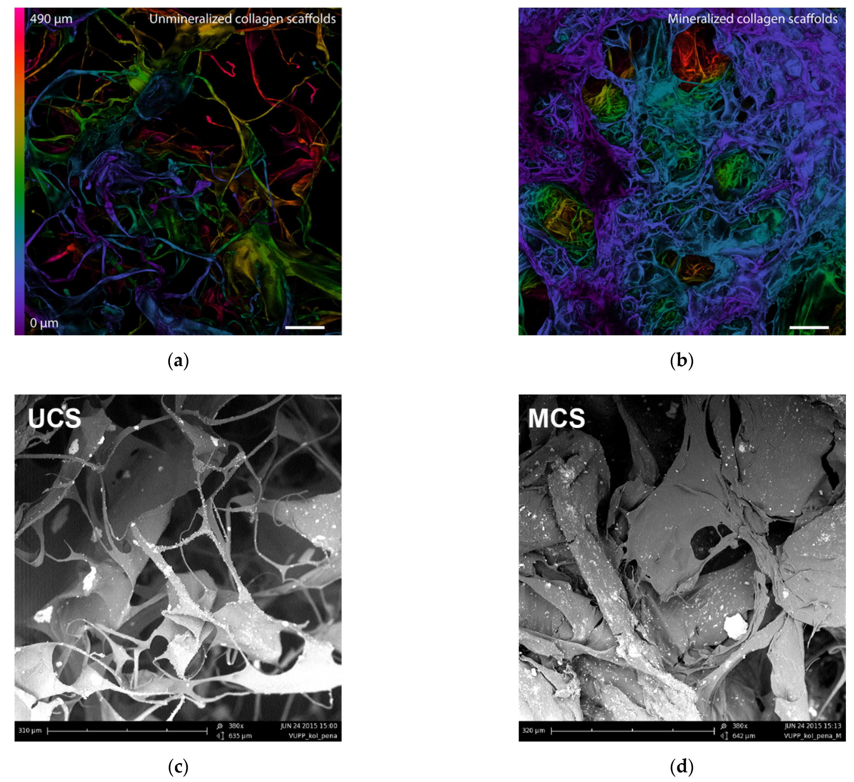 Polymers 14 00602 g002