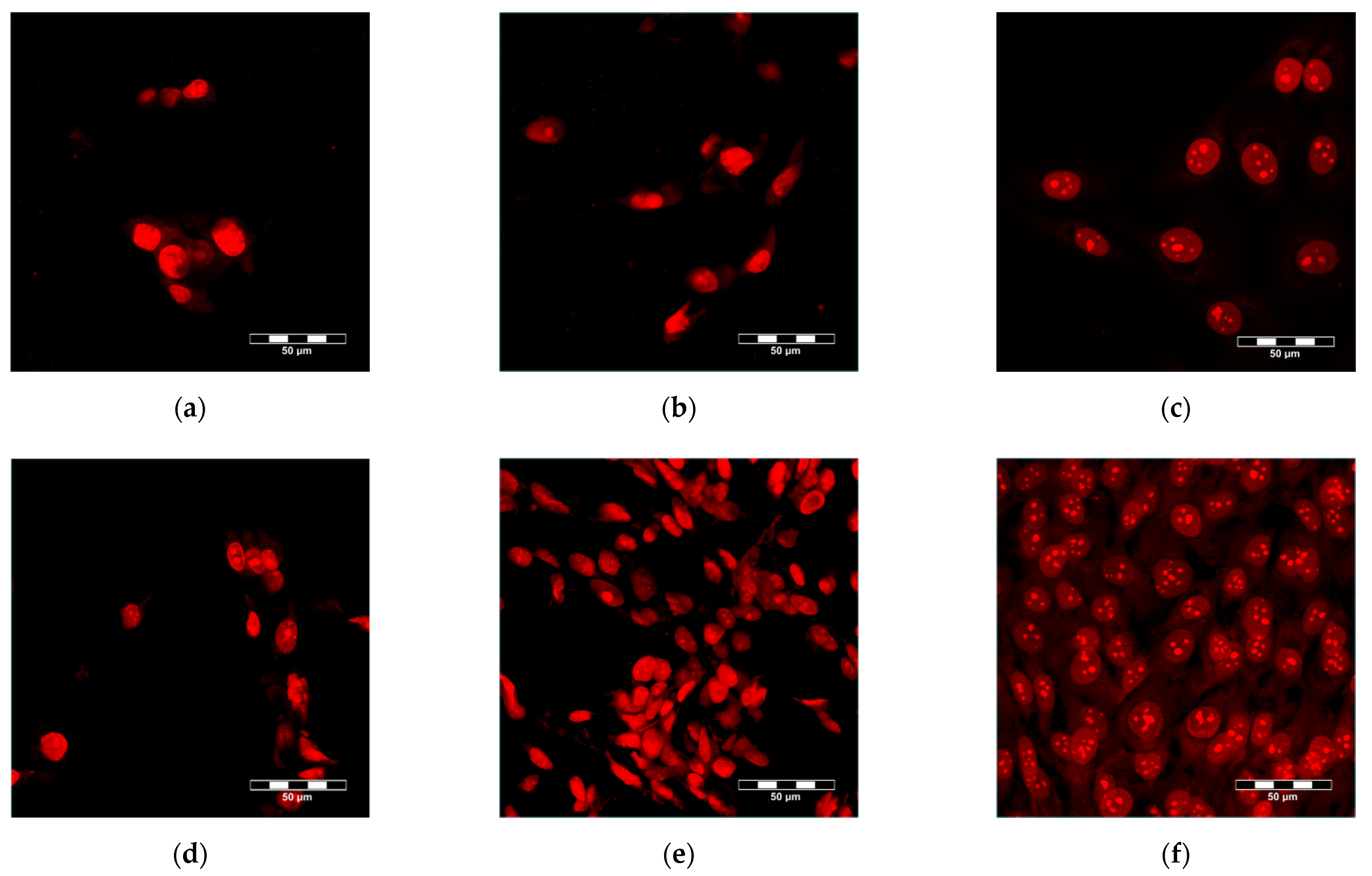 Polymers 14 00602 g008