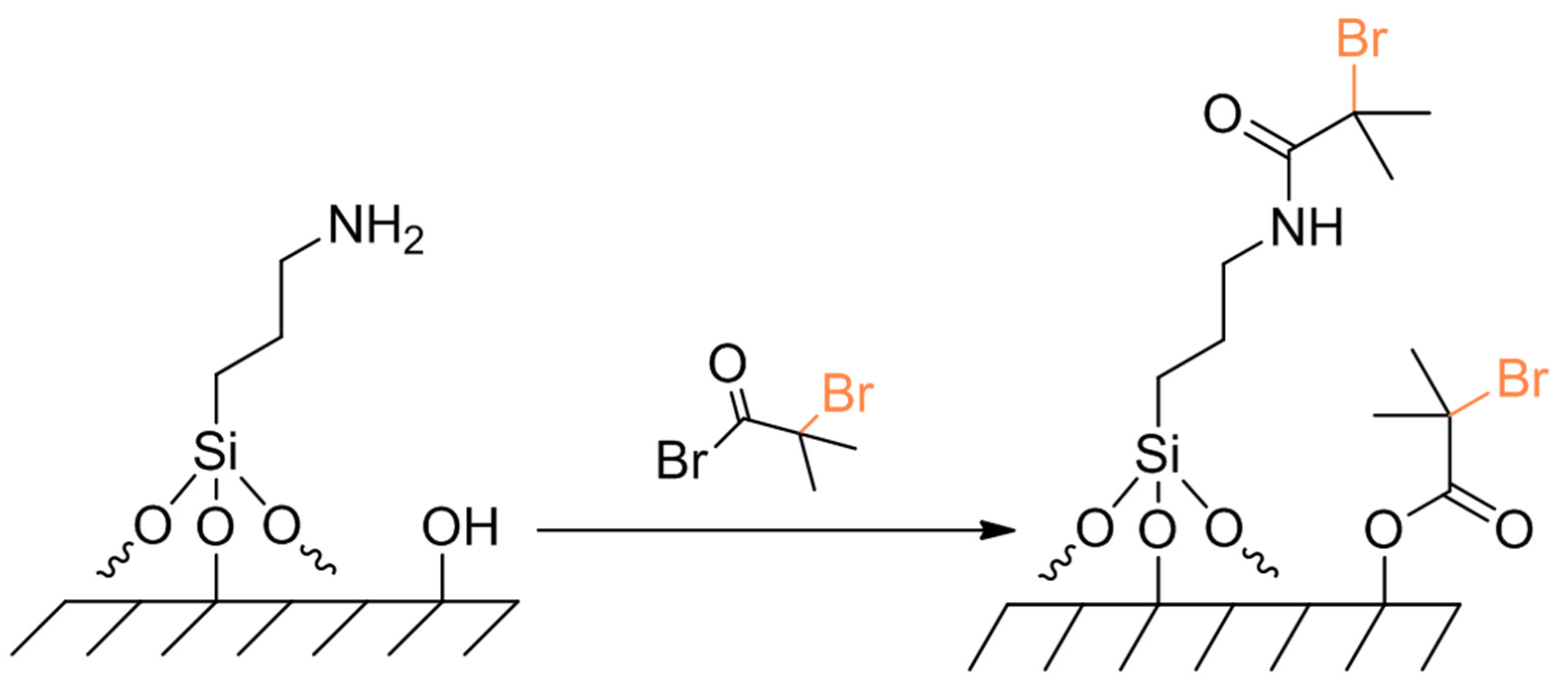 Polymers 14 00608 sch015 Polymers 14 00608 sch015