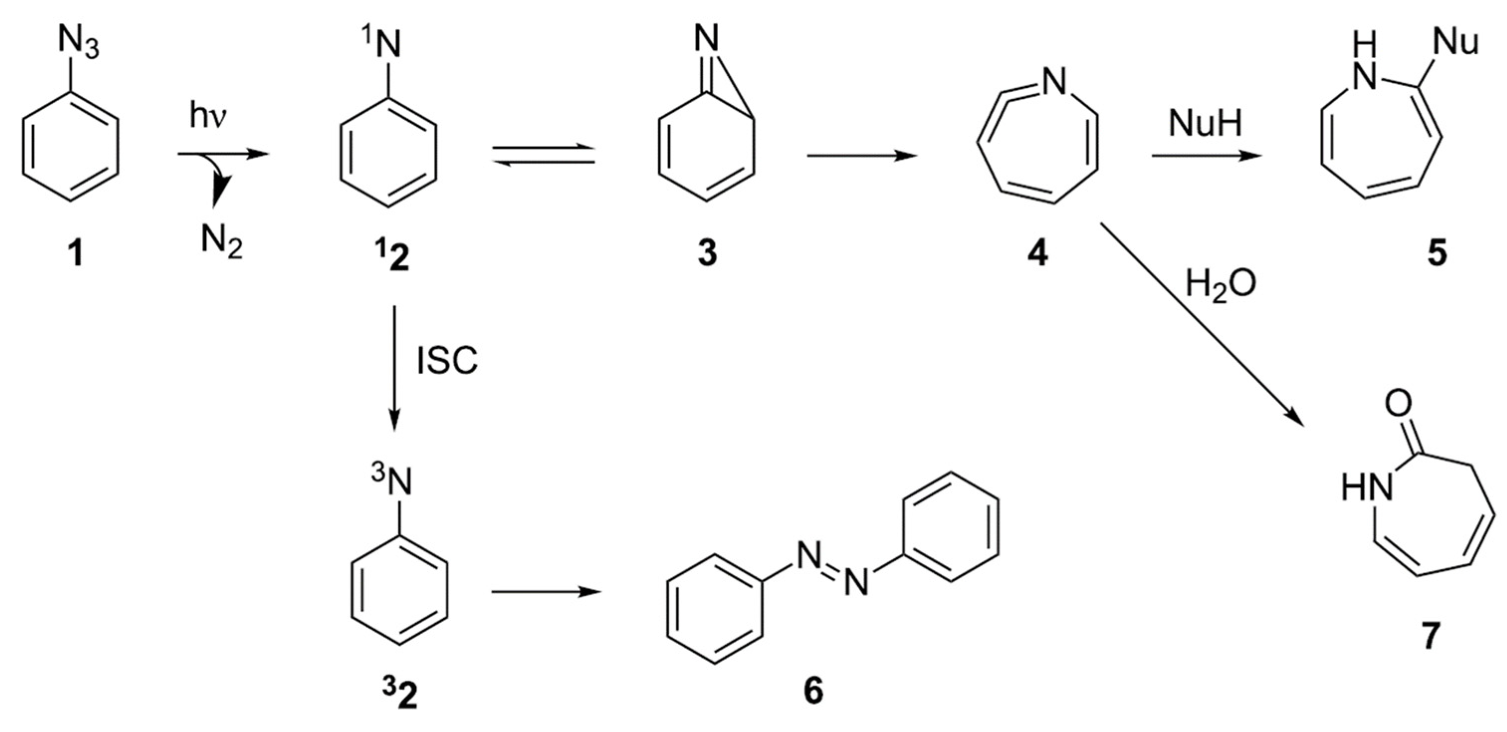 Polymers 14 00608 sch021 Polymers 14 00608 sch021