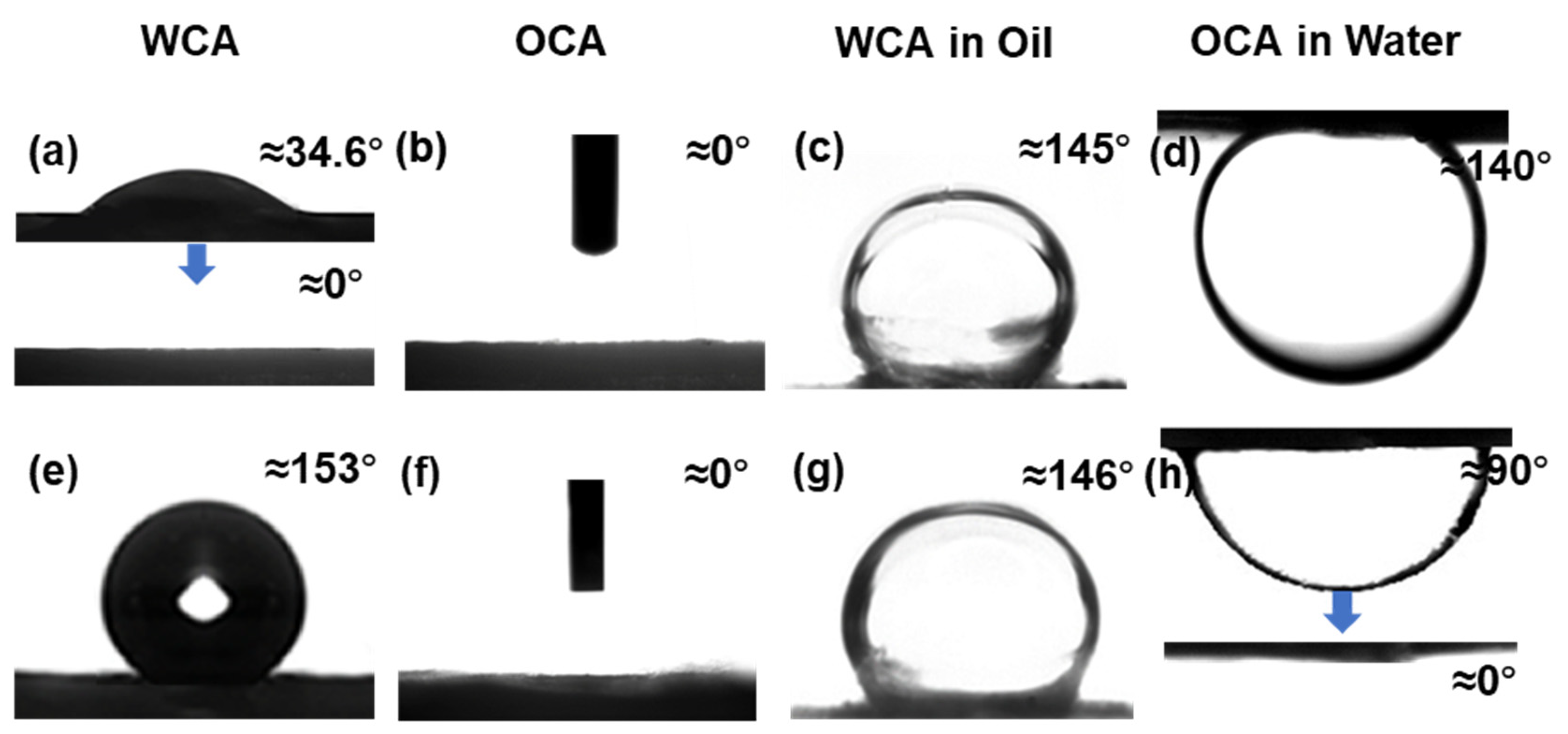Polymers 14 00621 g005