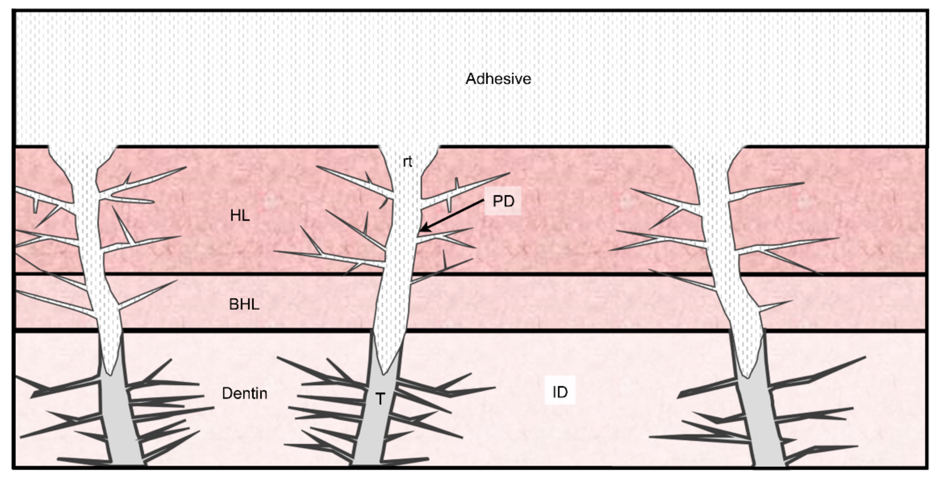 Polymers 14 00642 g001