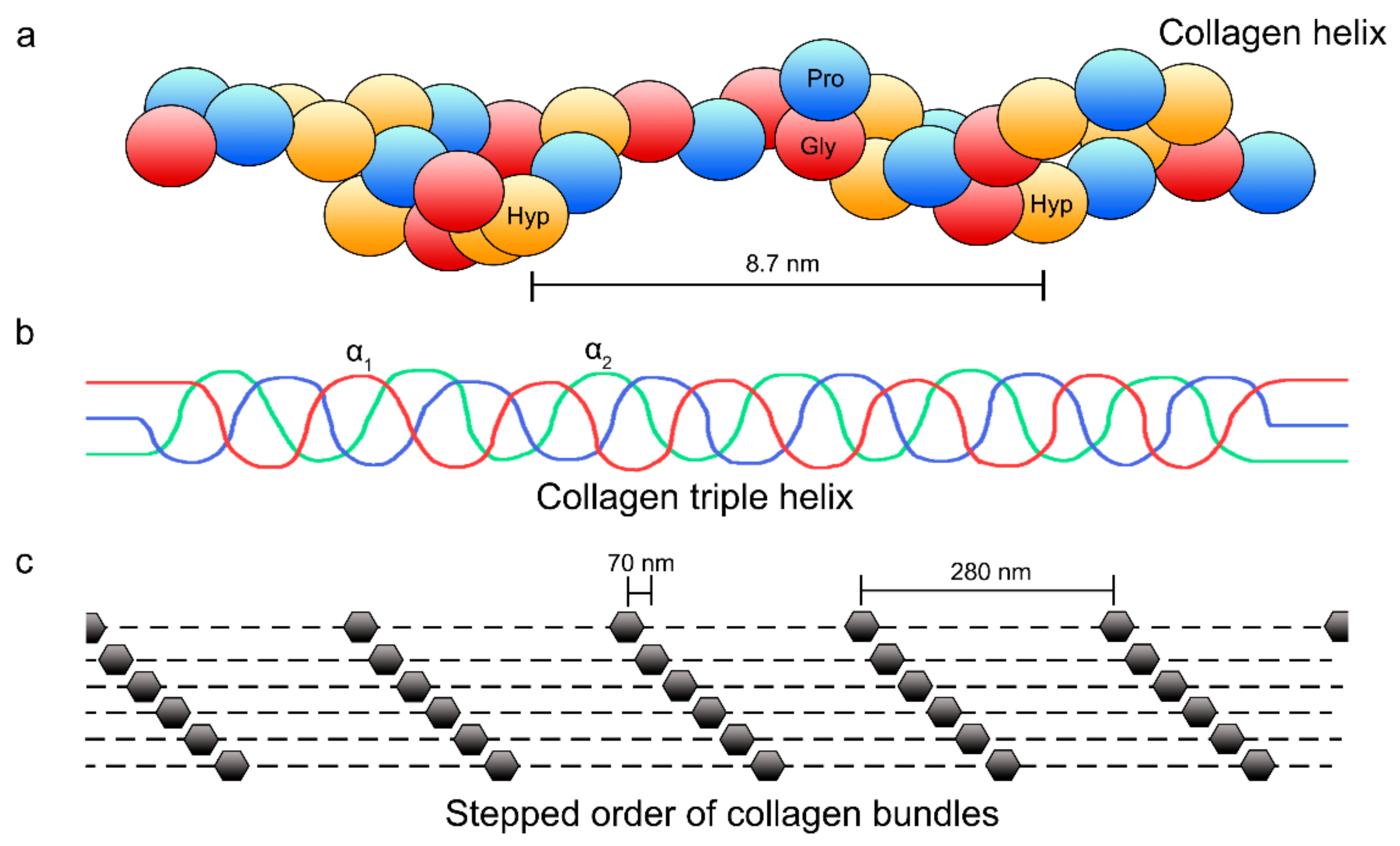 Polymers 14 00642 g002