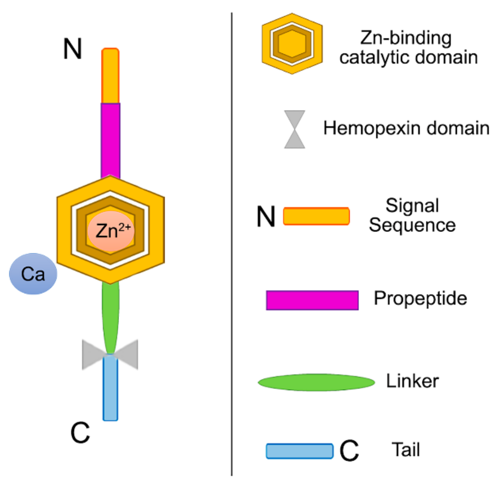 Polymers 14 00642 g008