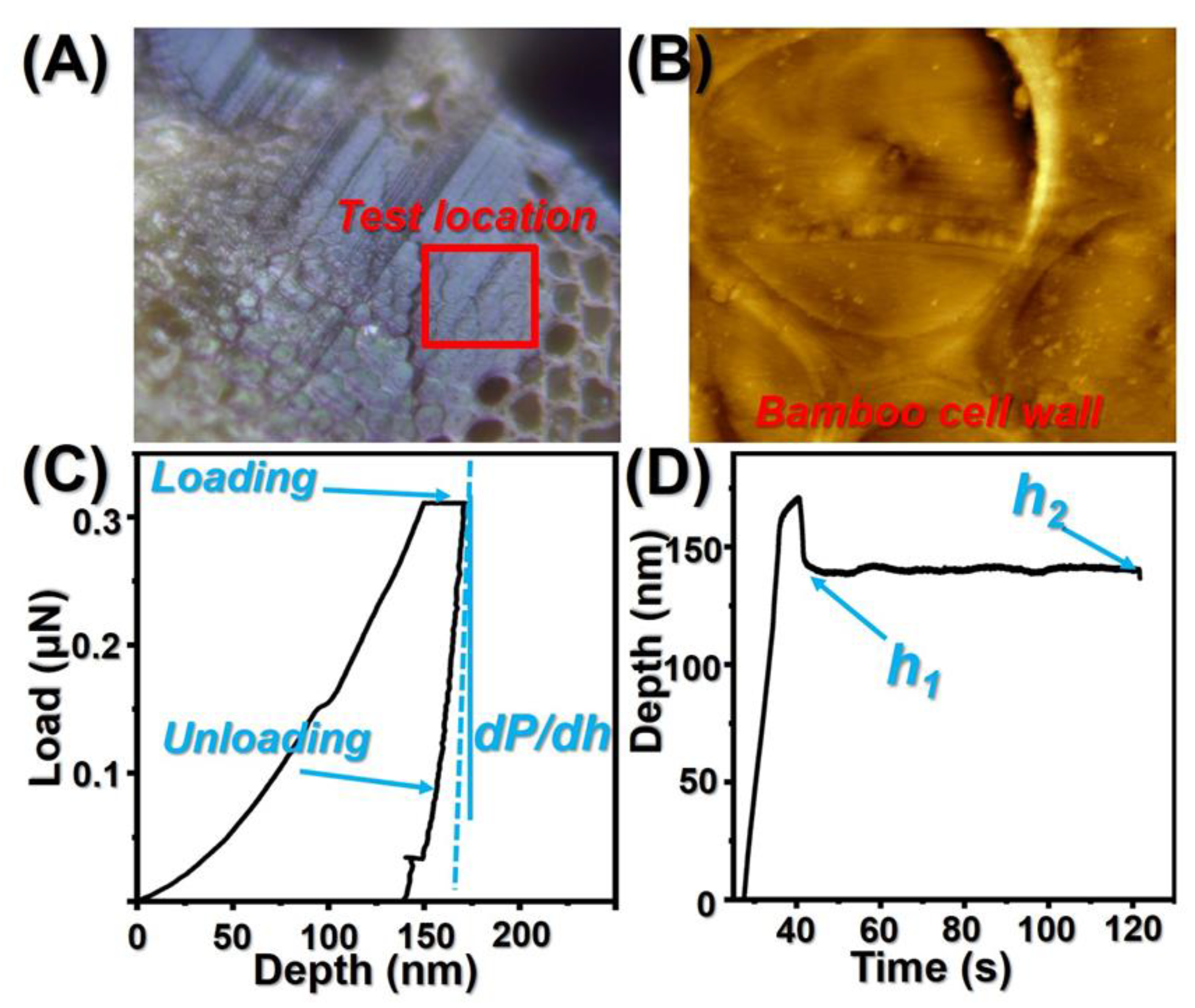 Polymers 14 00646 g001