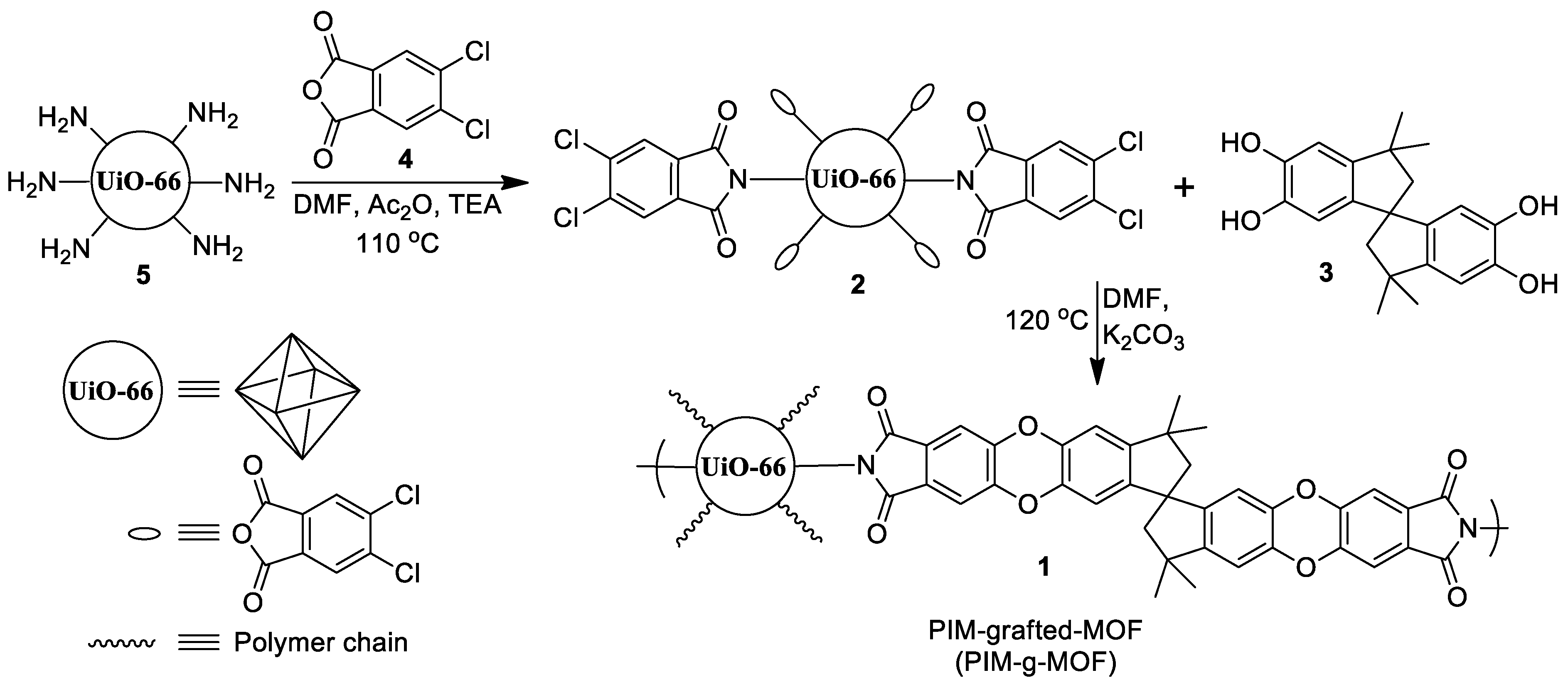 Polymers 14 00655 sch001