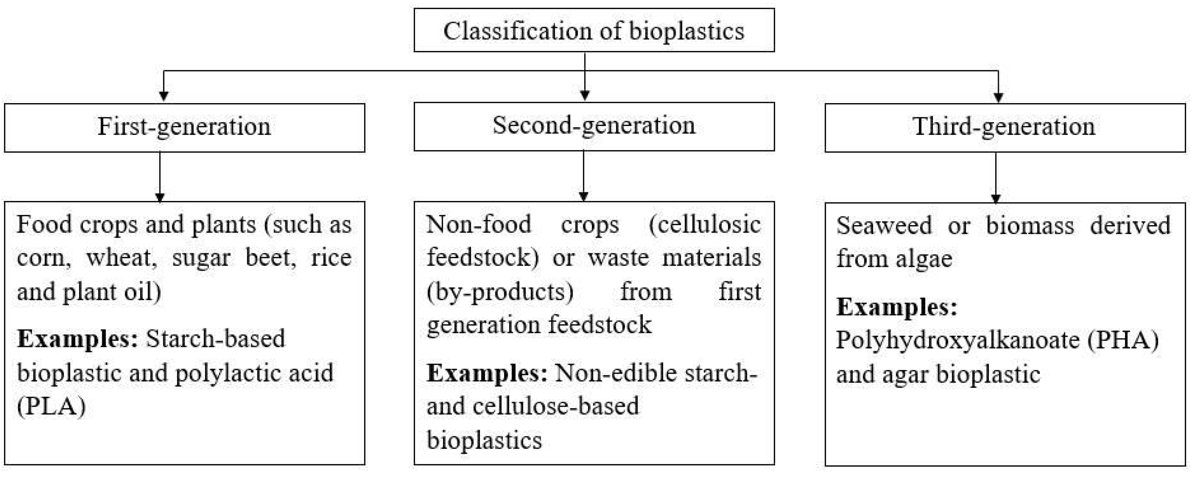 Polymers 14 00664 g001