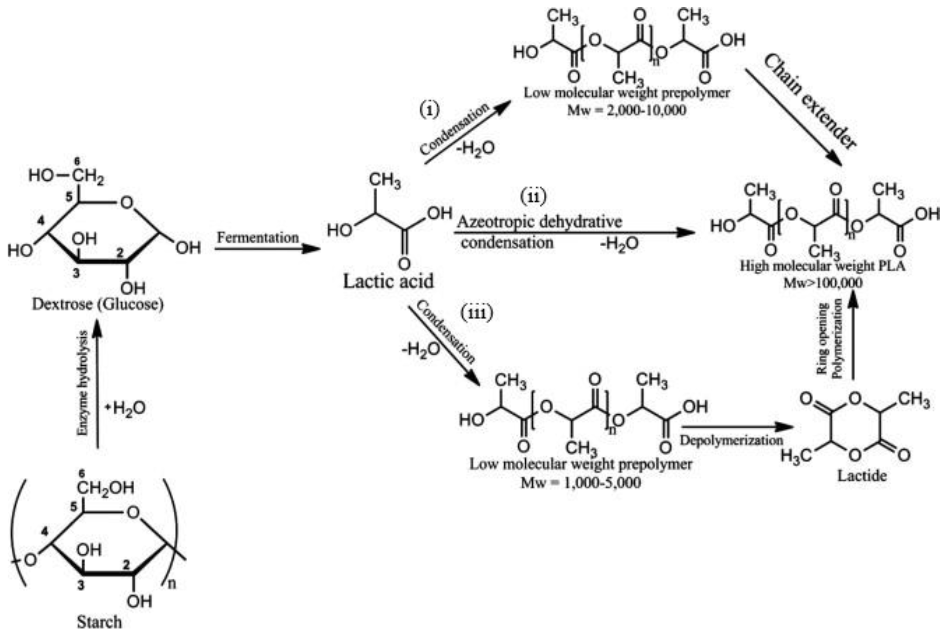 Polymers 14 00664 g003