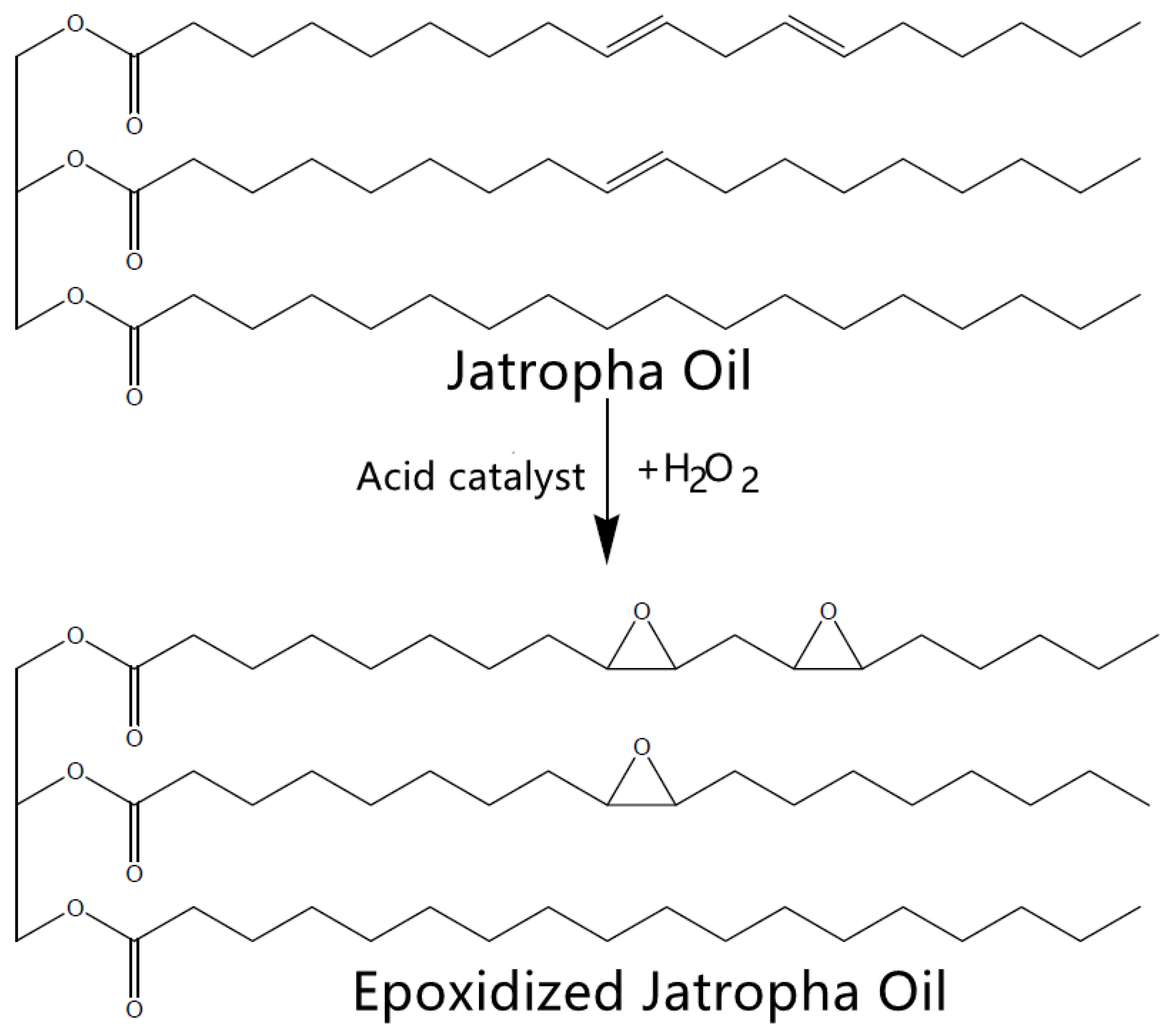 Polymers 14 00664 g004