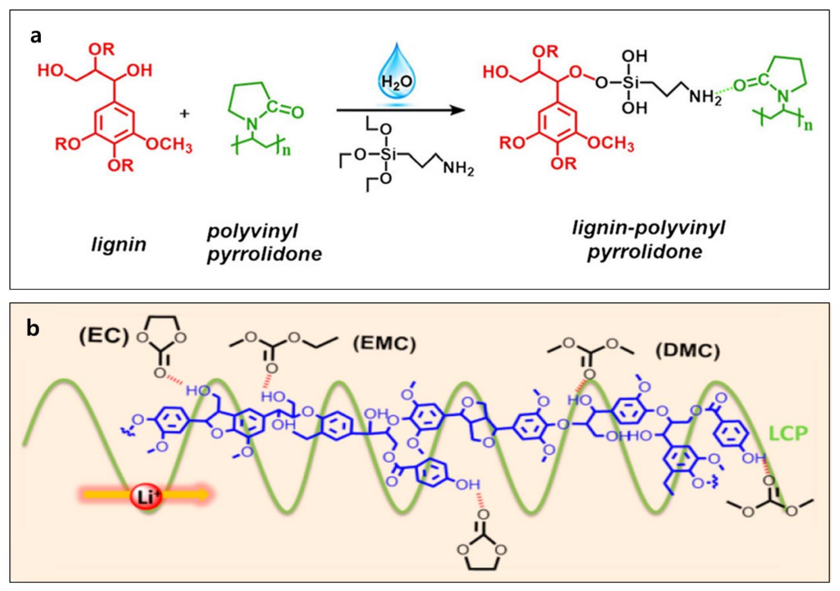 Polymers 14 00673 g005