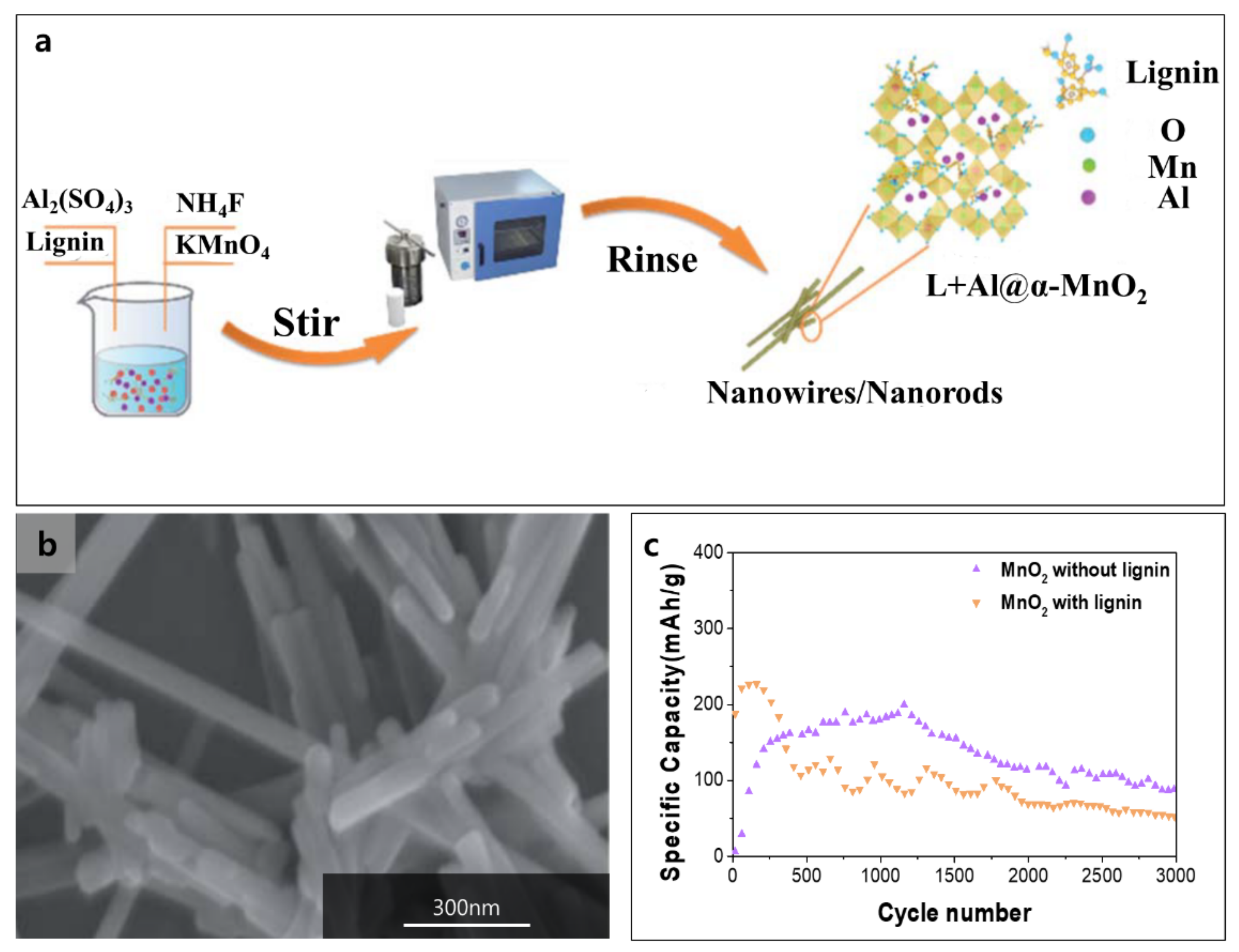 Polymers 14 00673 g010