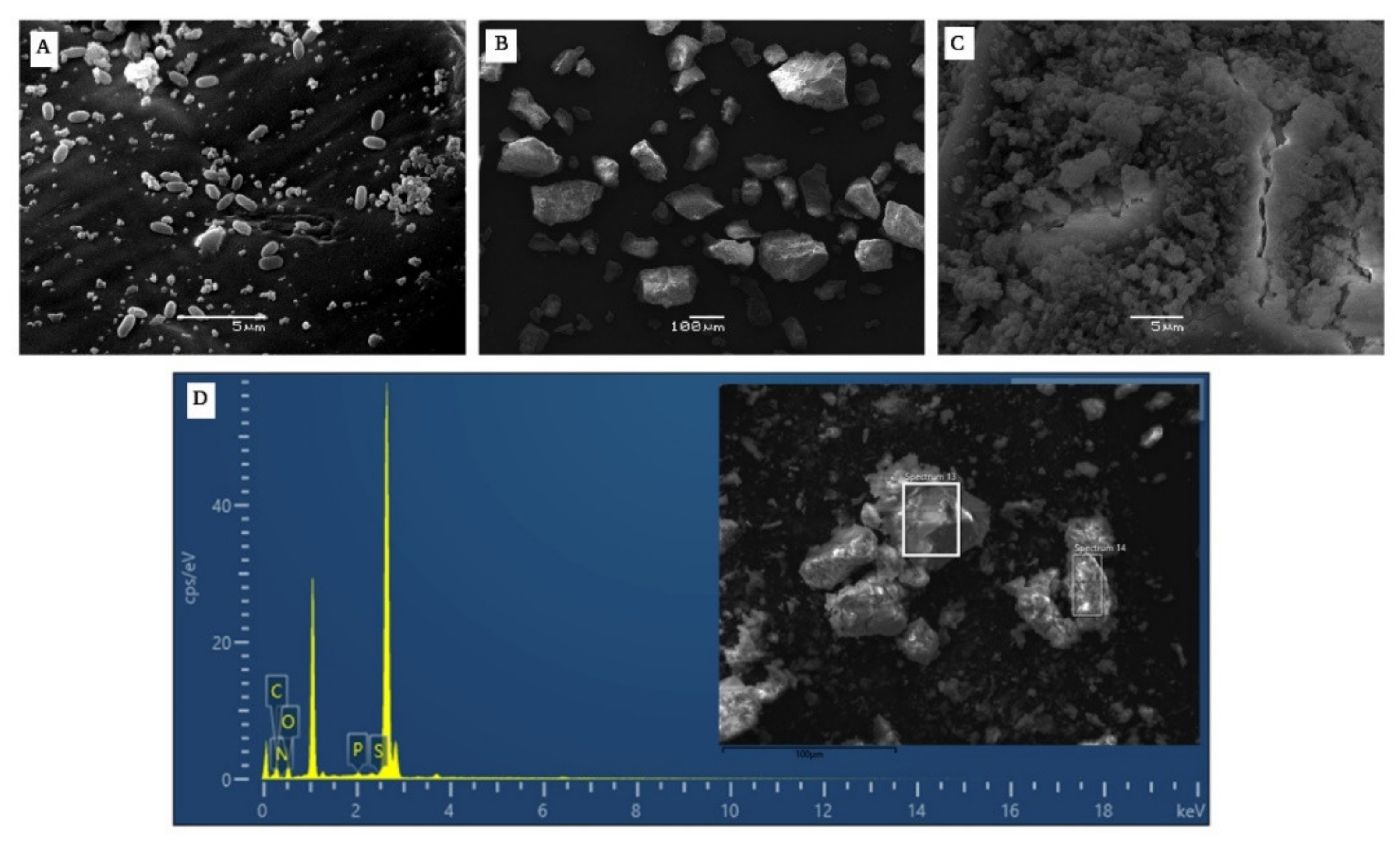 Polymers 14 00680 g008