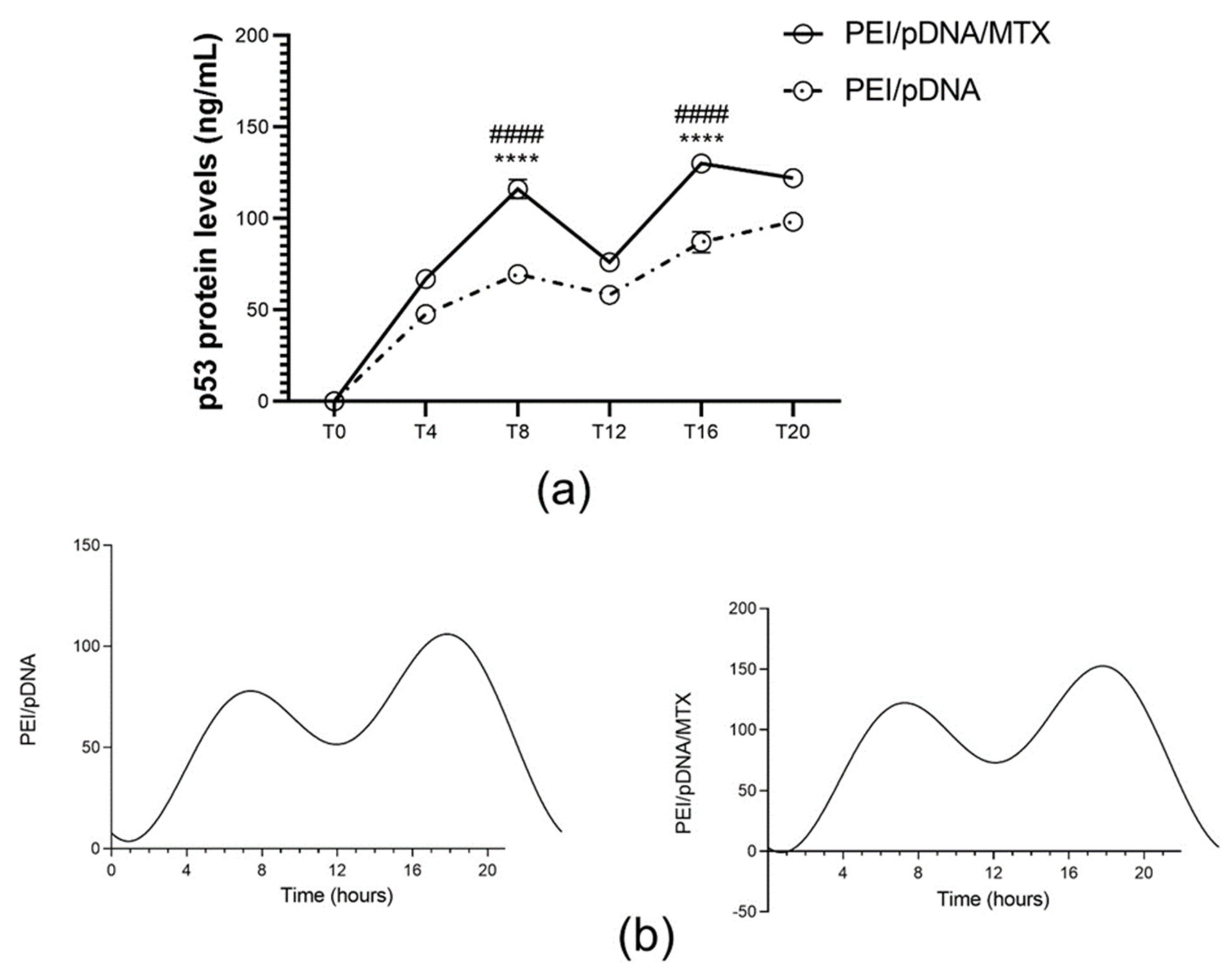 Polymers 14 00681 g010