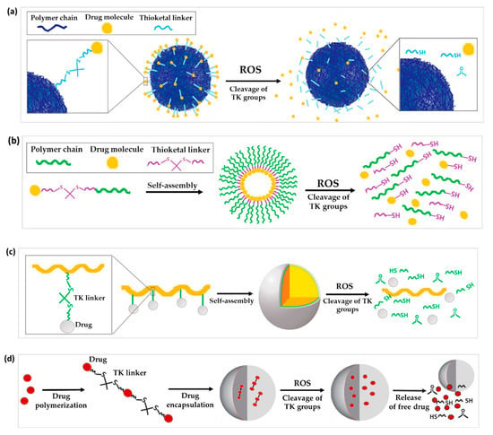 Polymers | Free Full-Text | Applications of the ROS-Responsive ...