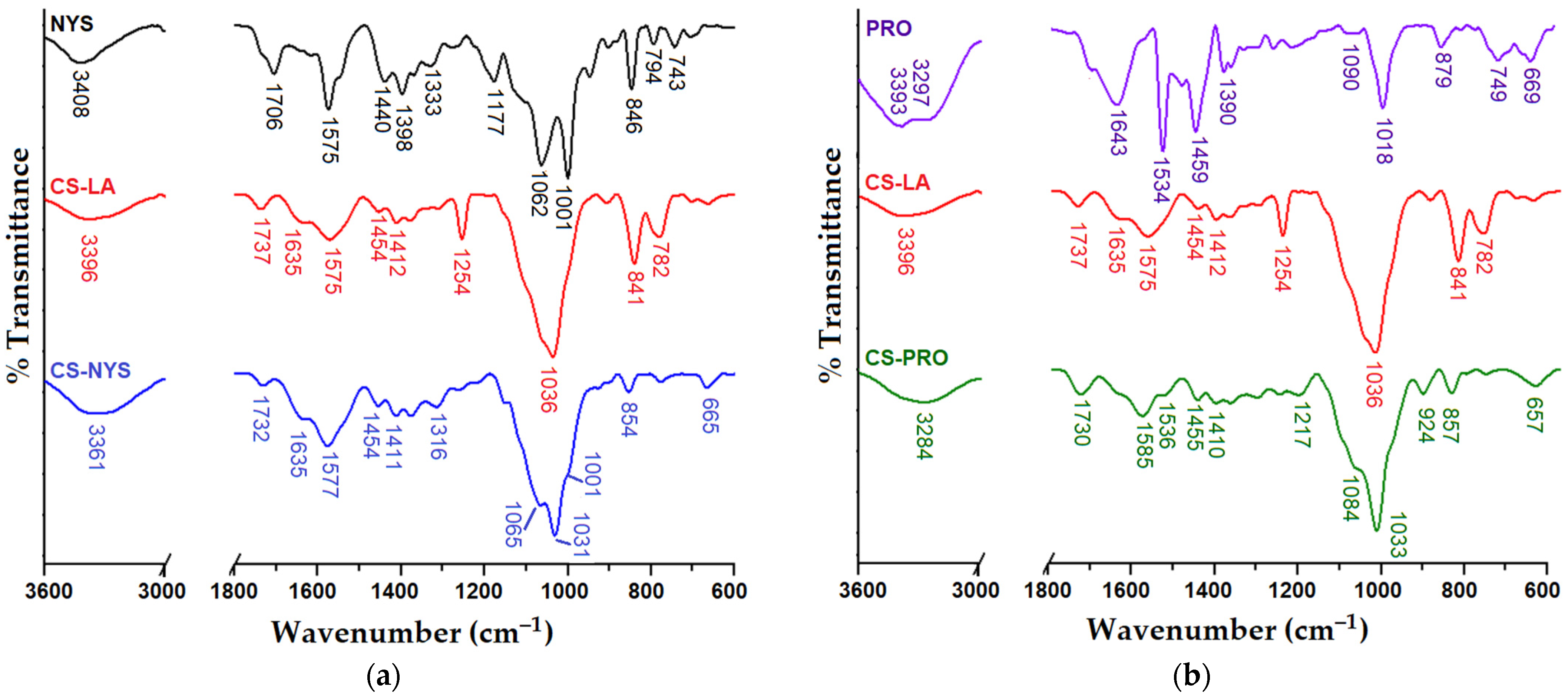 Polymers 14 00689 g001