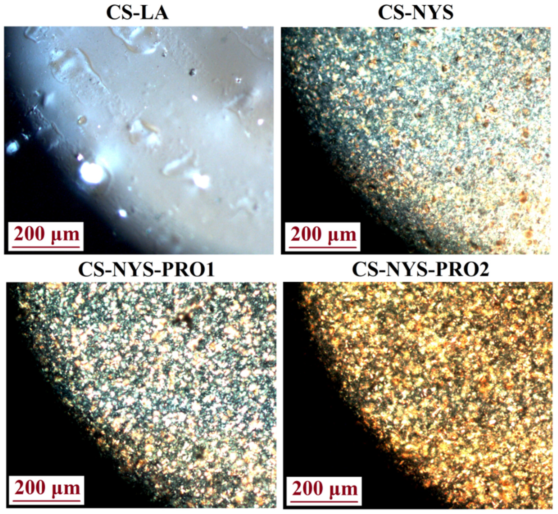 Polymers 14 00689 g003