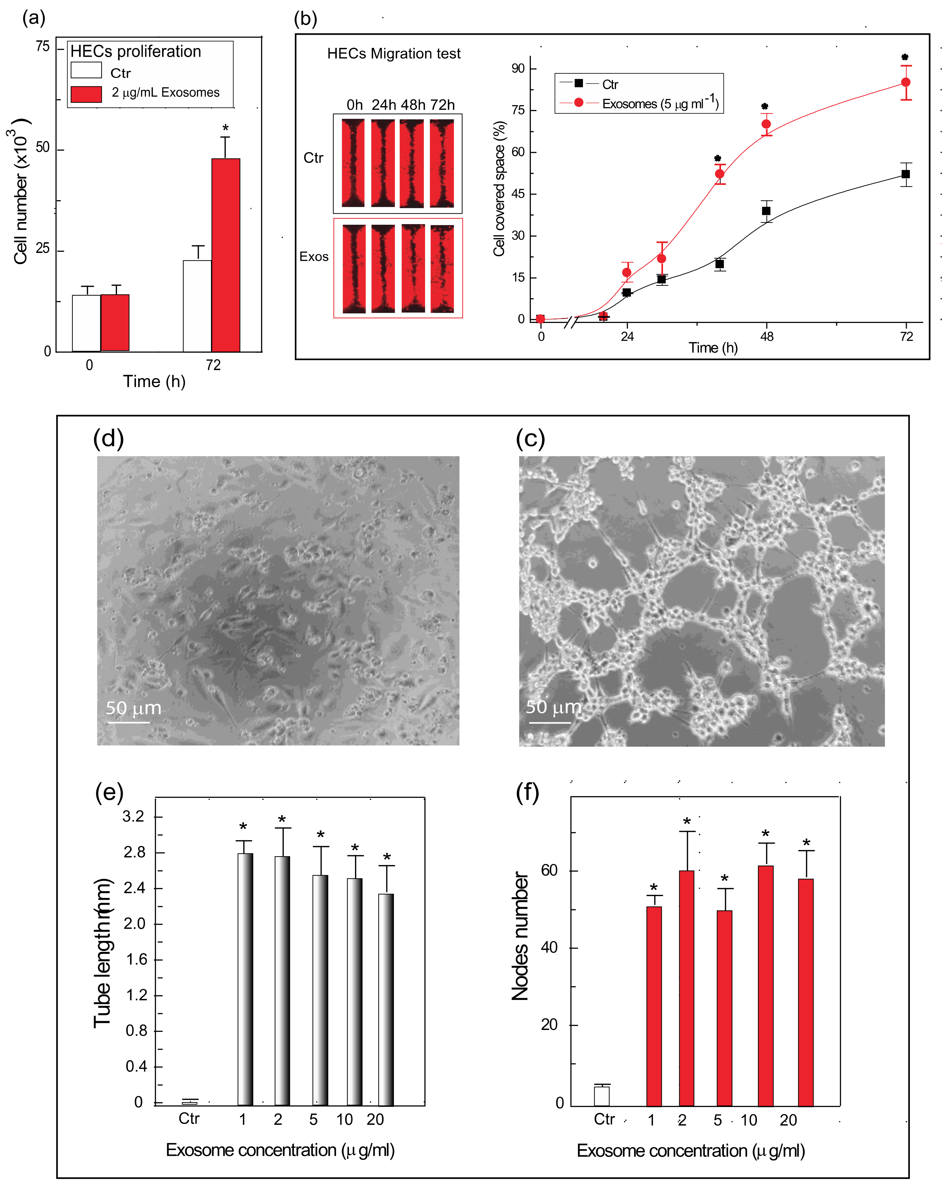 Polymers 14 00697 g004