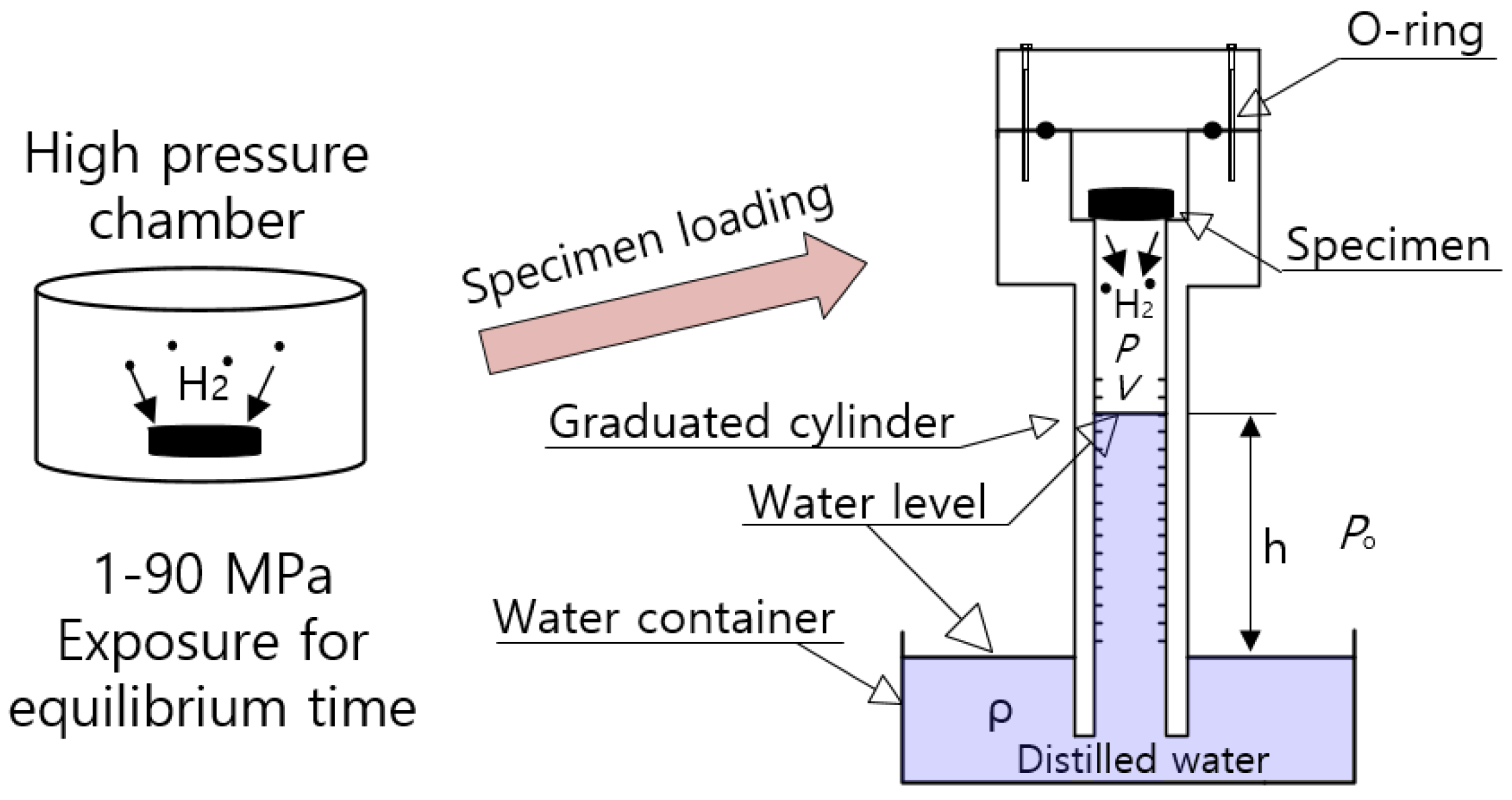 Polymers 14 00700 g001