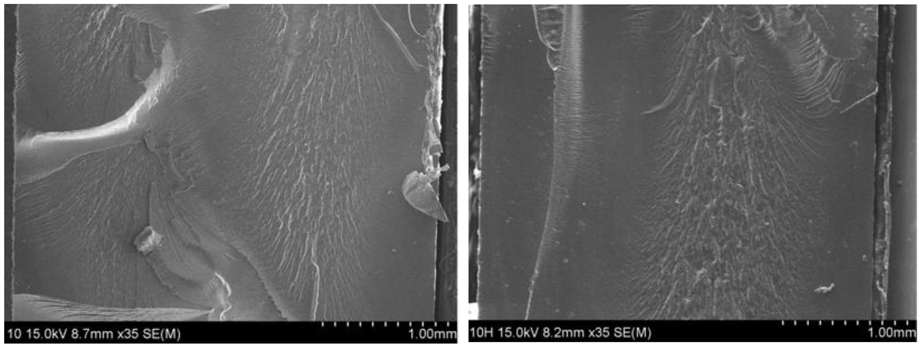 Polymers 14 00700 g009