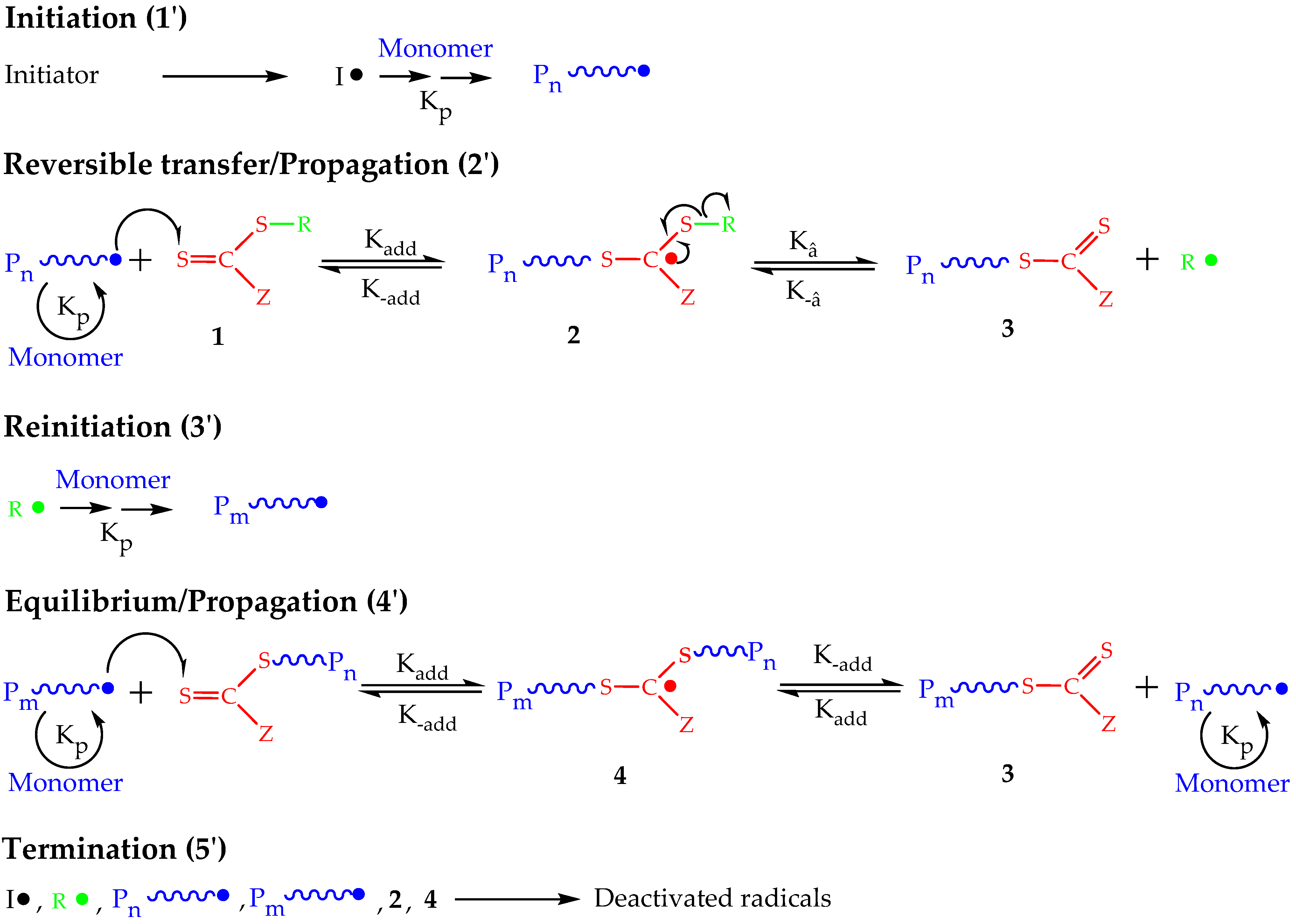 Polymers 14 00701 sch003