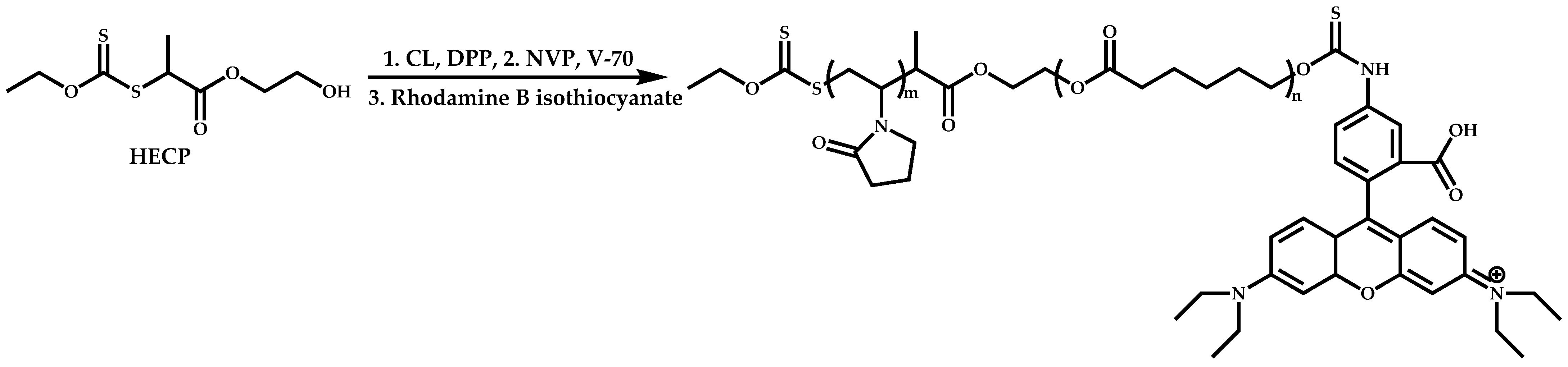 Polymers 14 00701 sch047