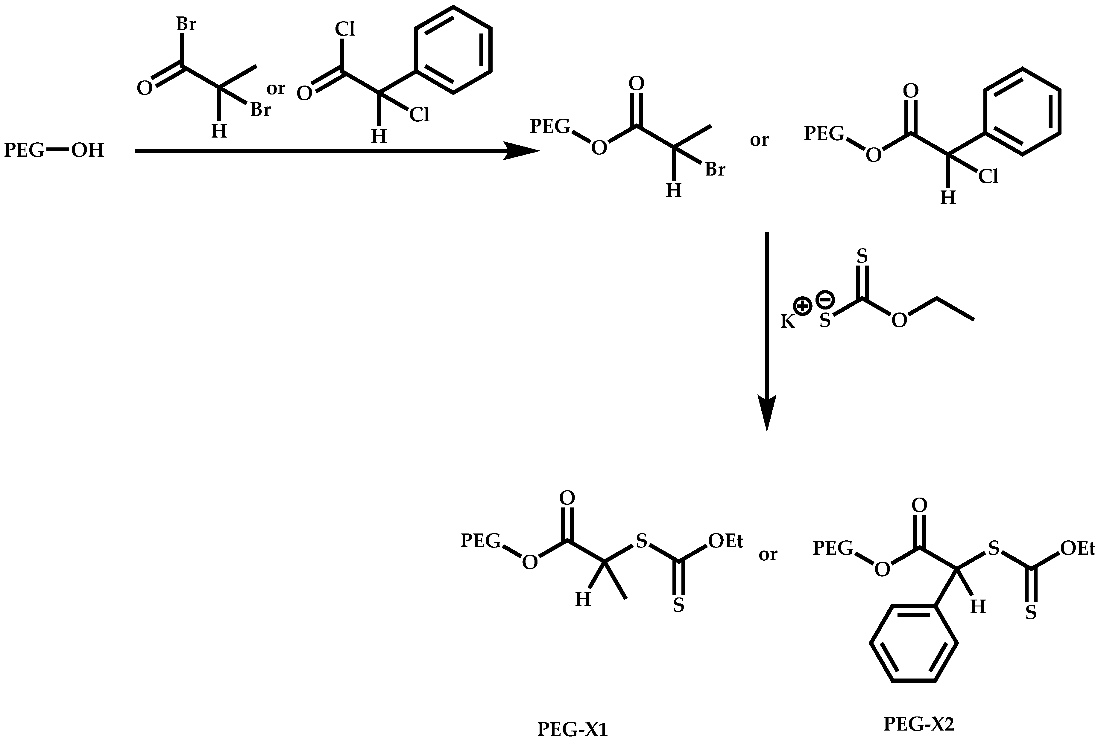 Polymers 14 00701 sch049