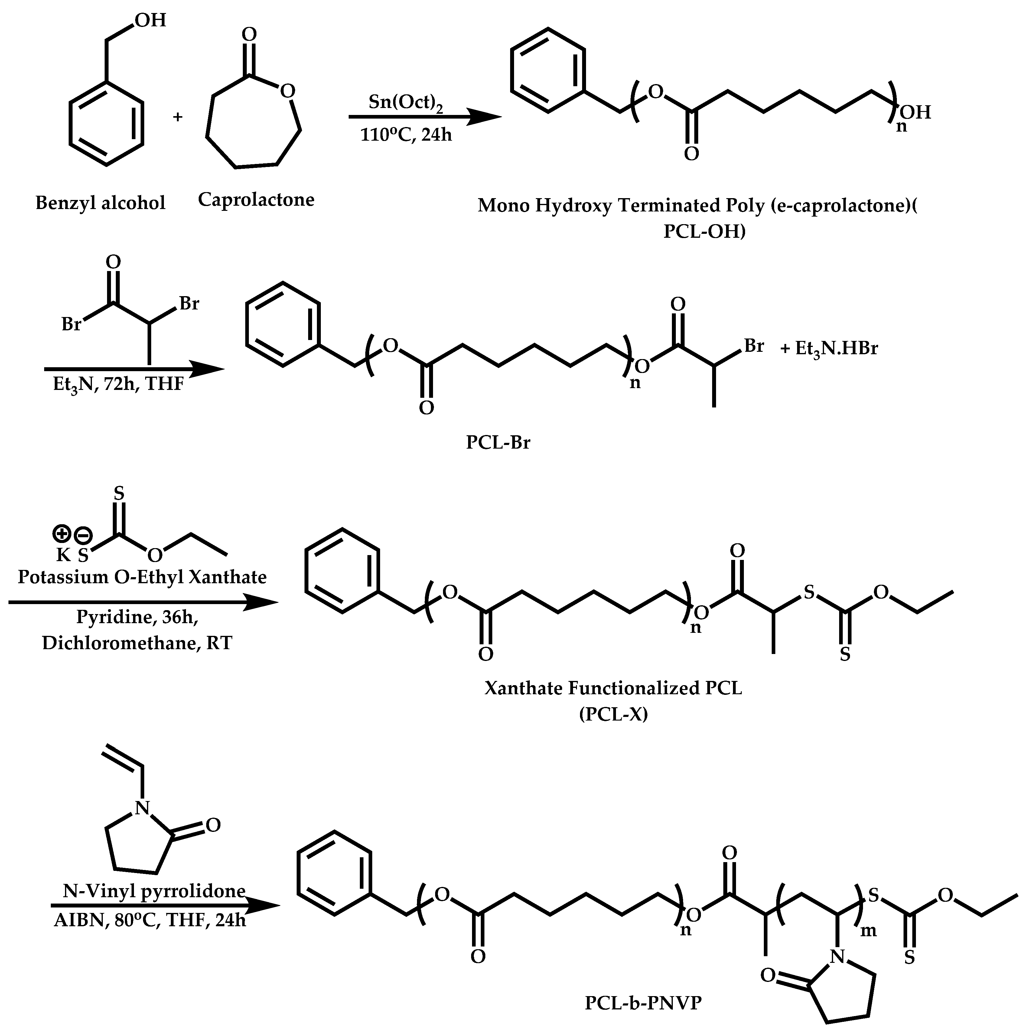 Polymers 14 00701 sch051