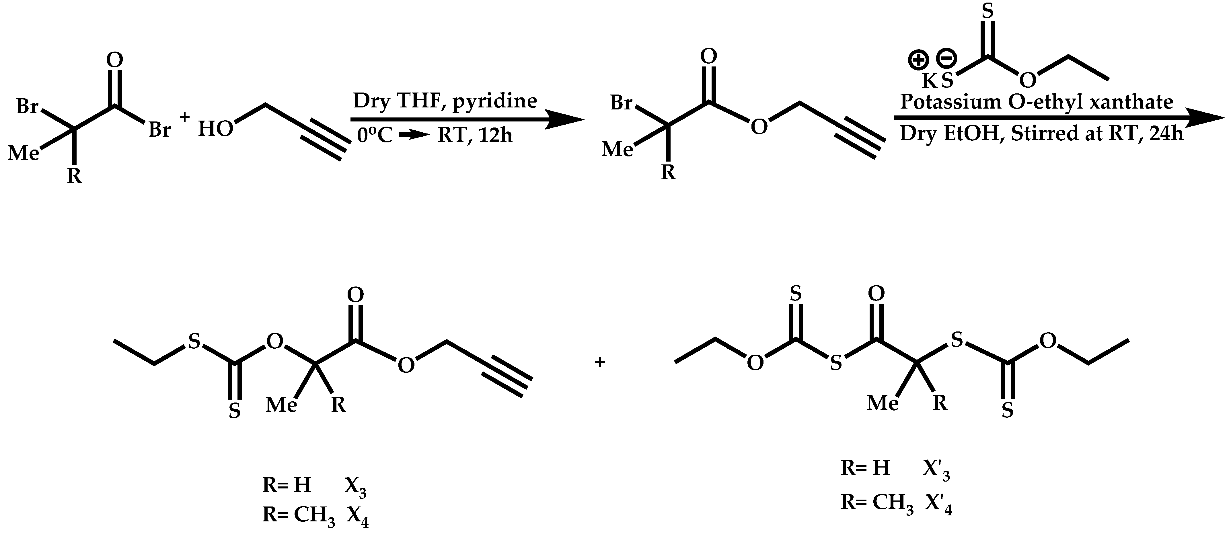 Polymers 14 00701 sch054